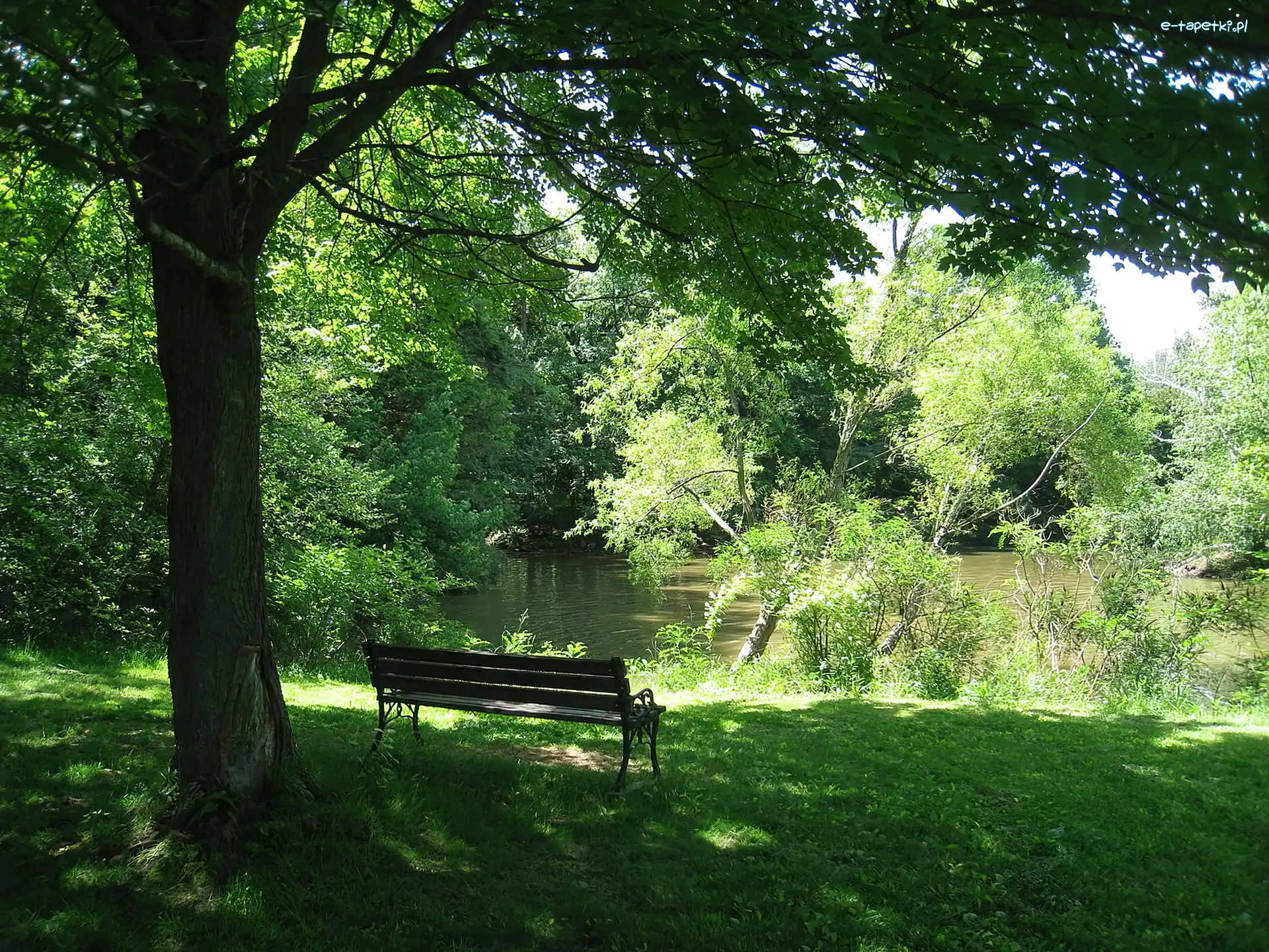 Ławeczka, Woda, Park