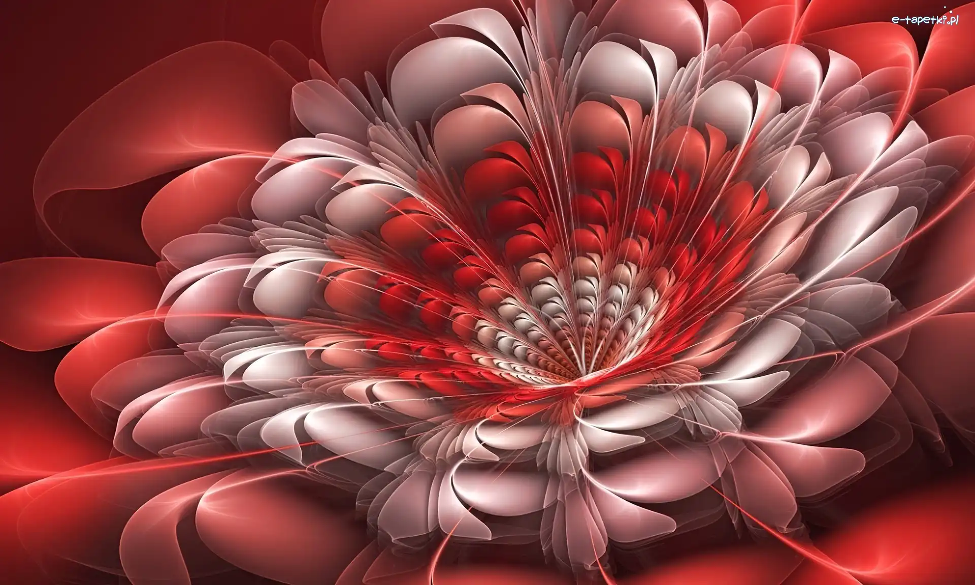 3D, Grafika, Kwiat