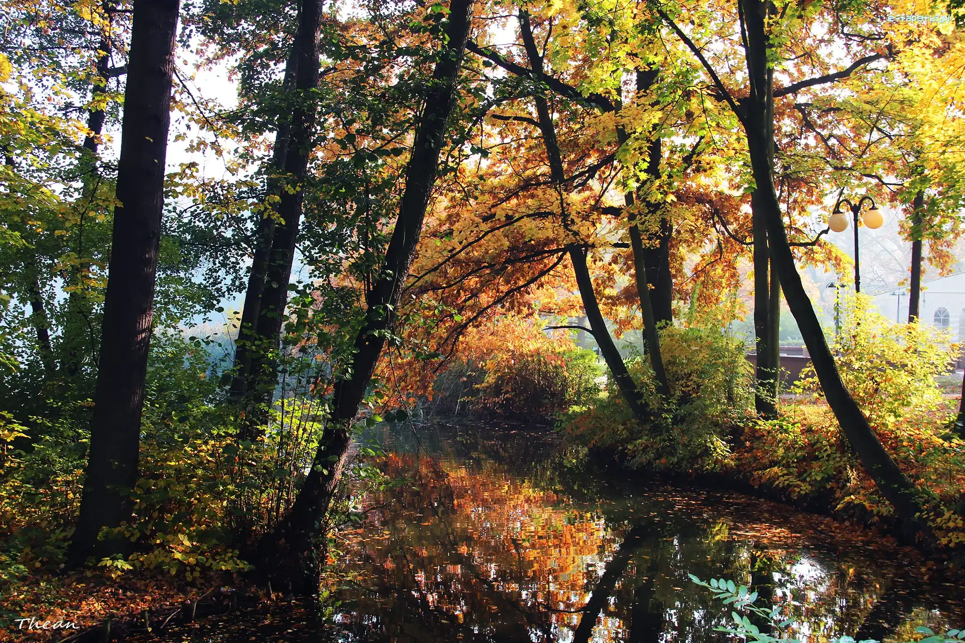 Park, Jesienny