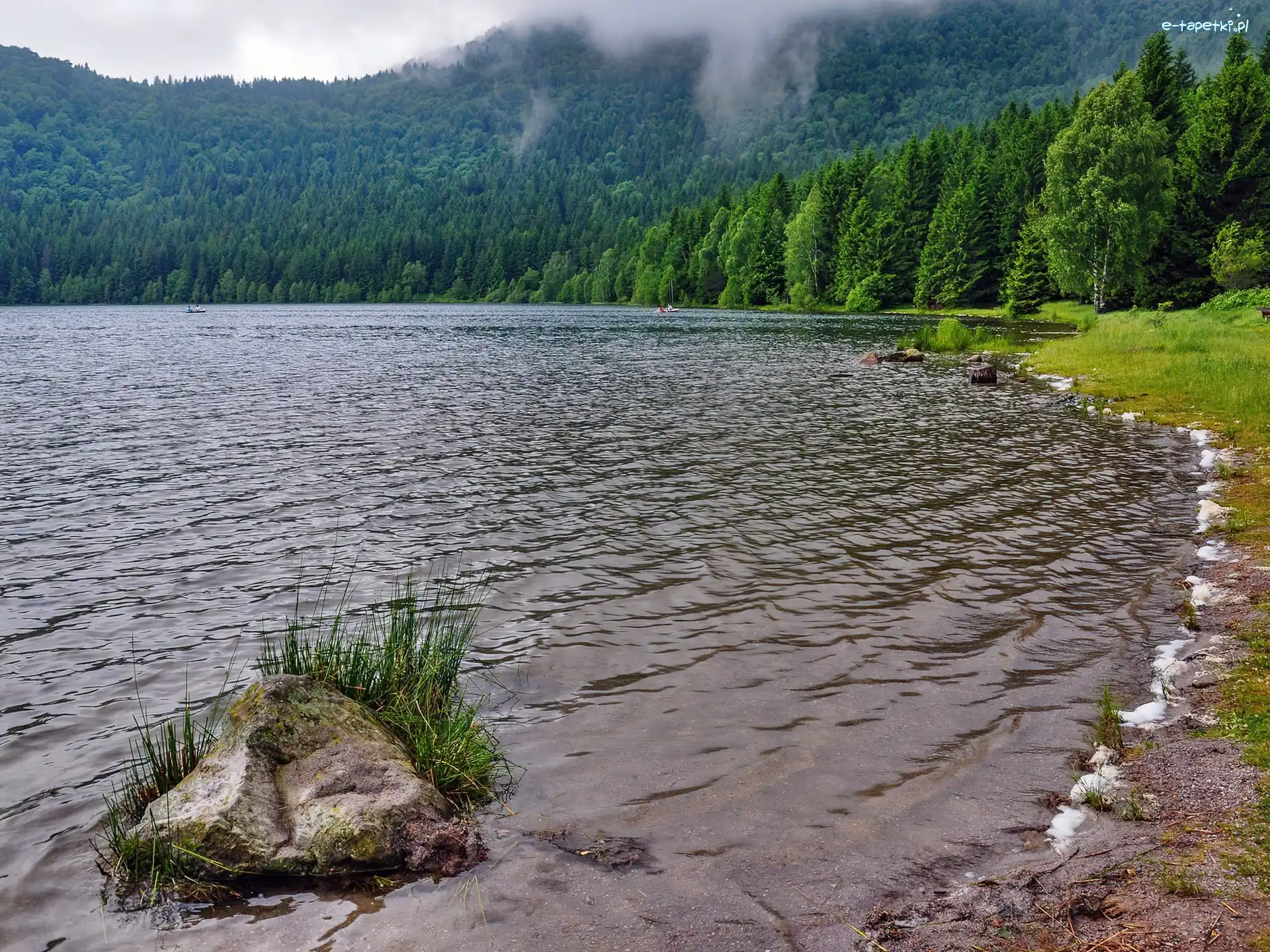 Brzeg, Mgła, Las, Jezioro