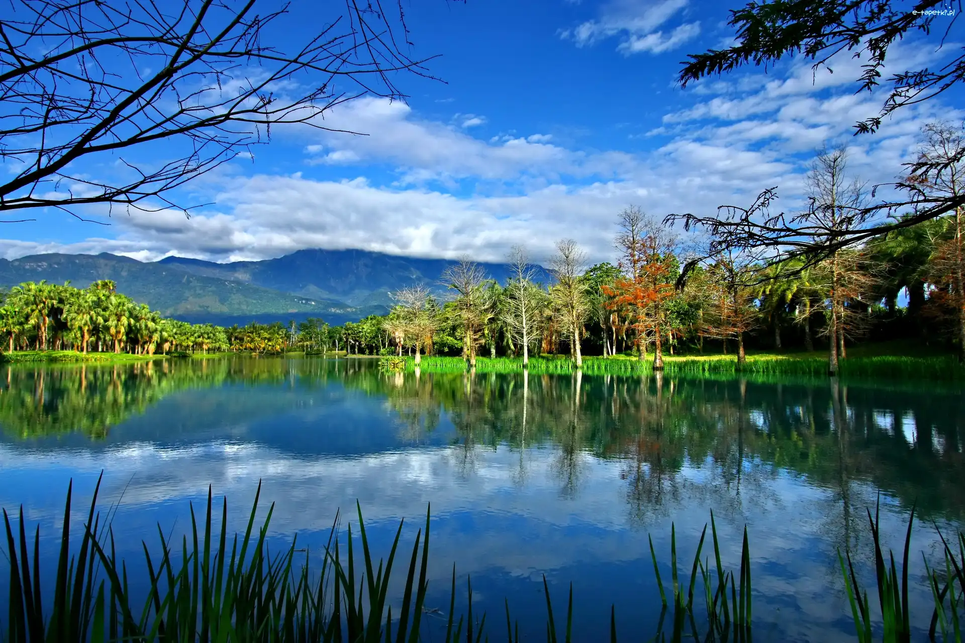 Lasy, Niebo, Góry, Jezioro