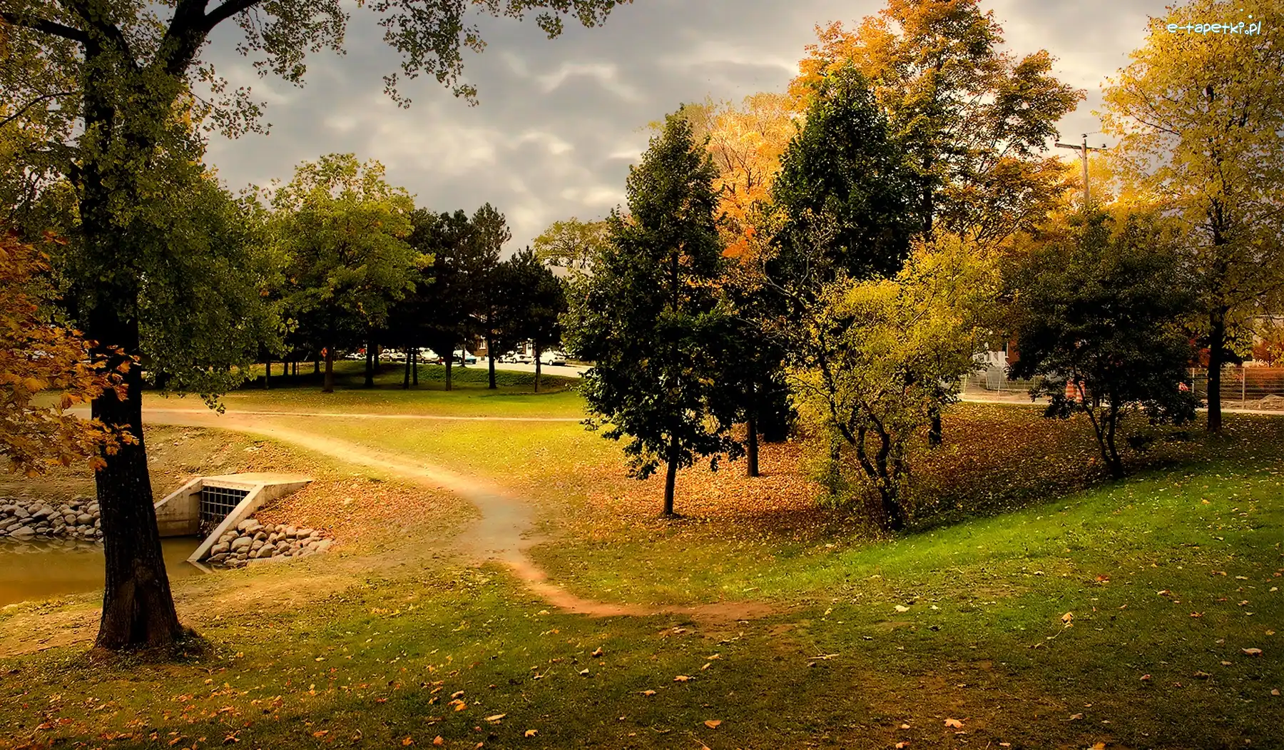 Jesień, Drzewa, Park