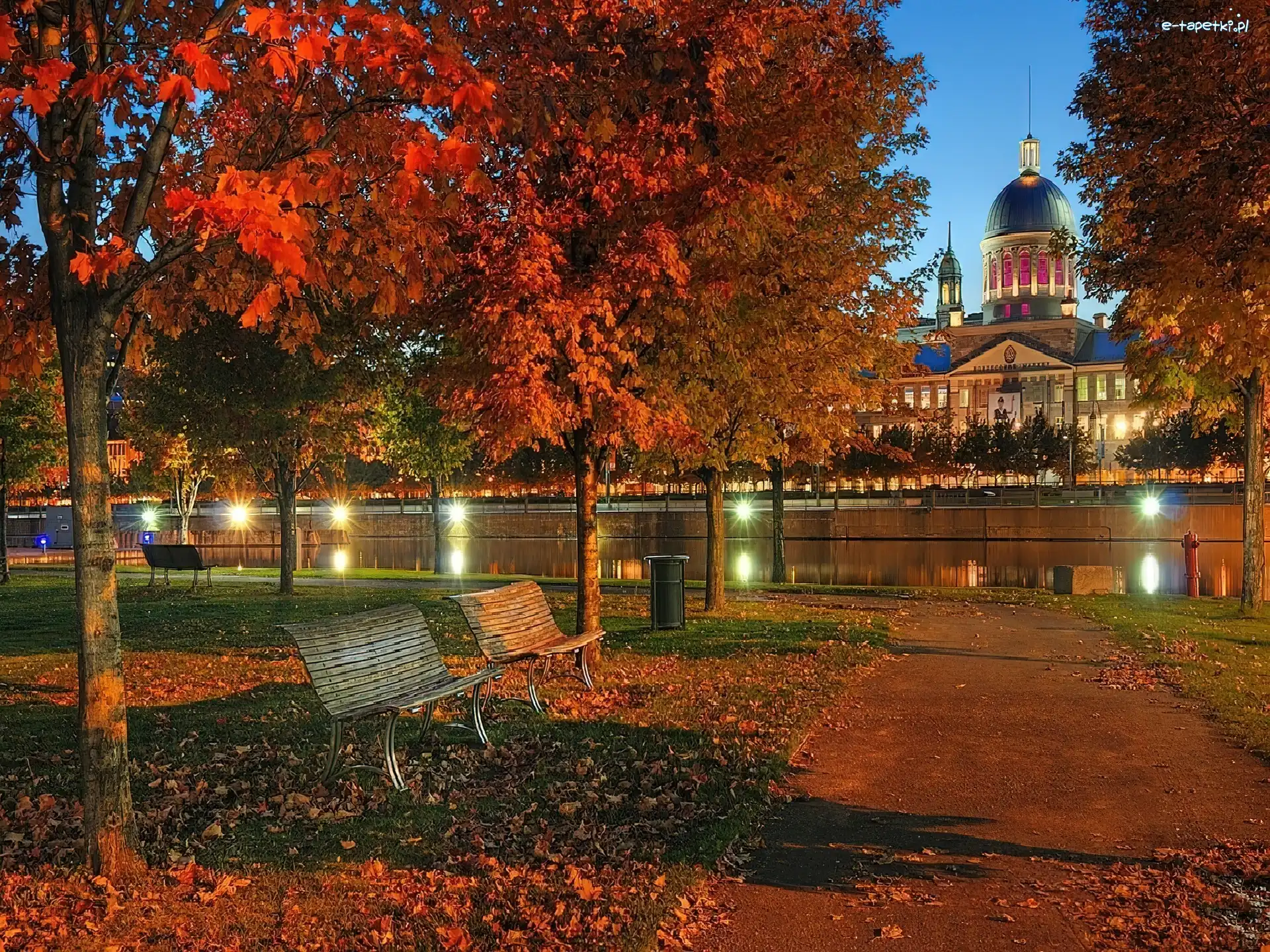 Jesienne, Rzeka, Drzewa, Park