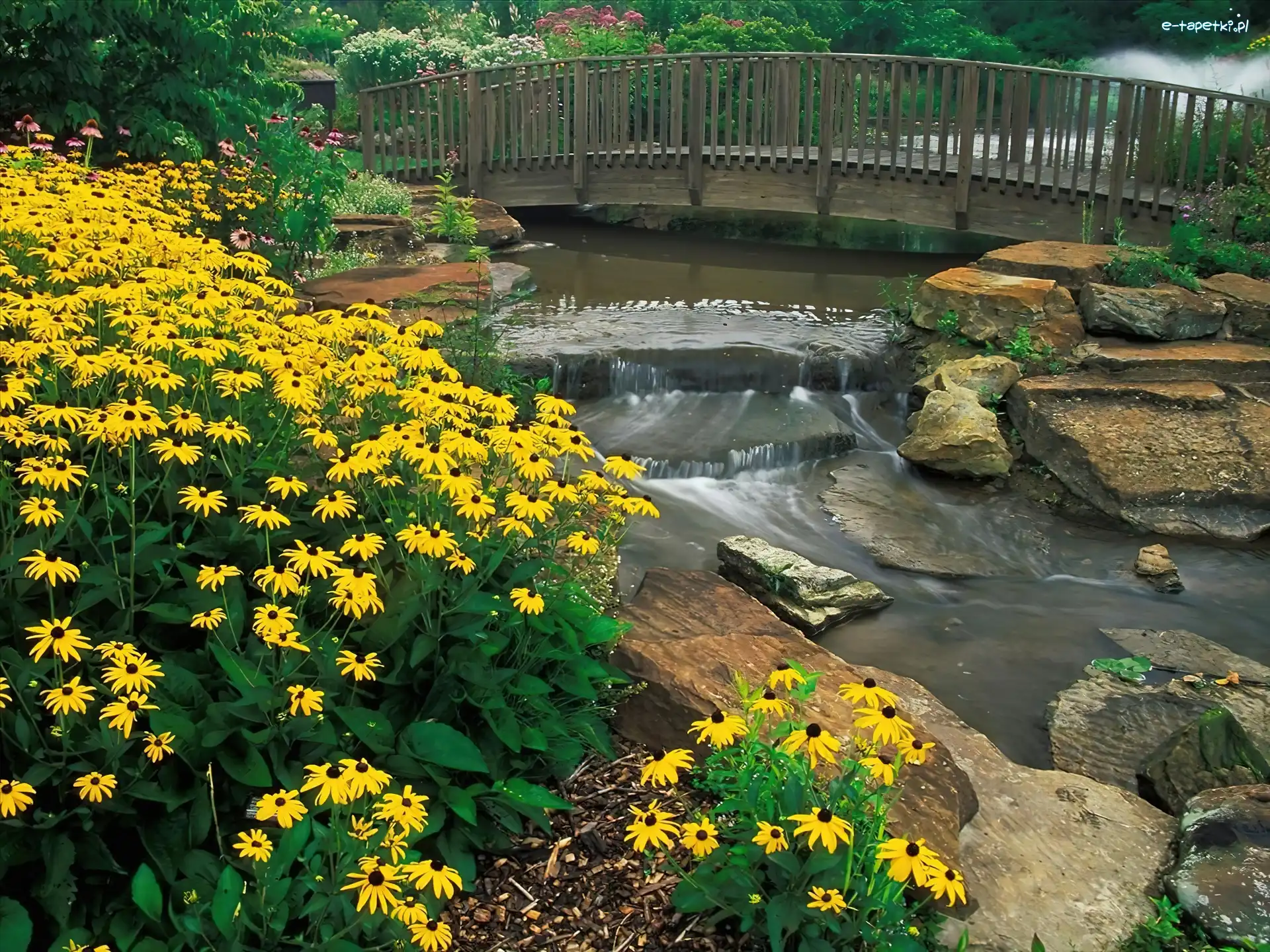 Kwiaty, Kirtland, Ohio, Arboretum, Holden