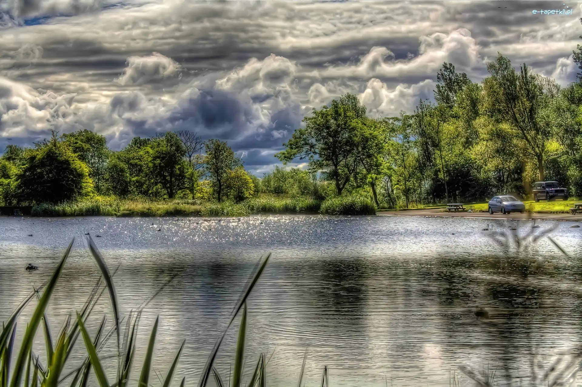 Jezioro, Drzewa, Chmury