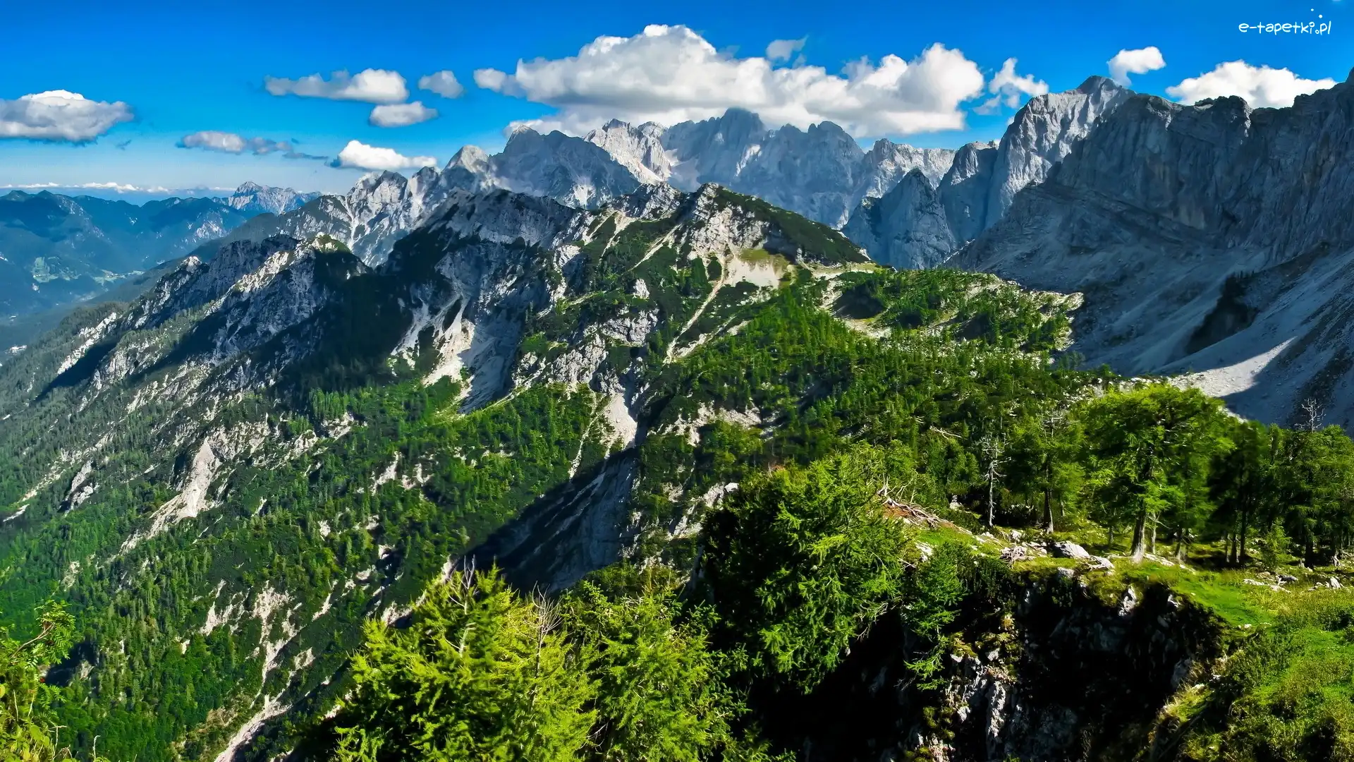 Las, Niebo, Błękitne, Góry
