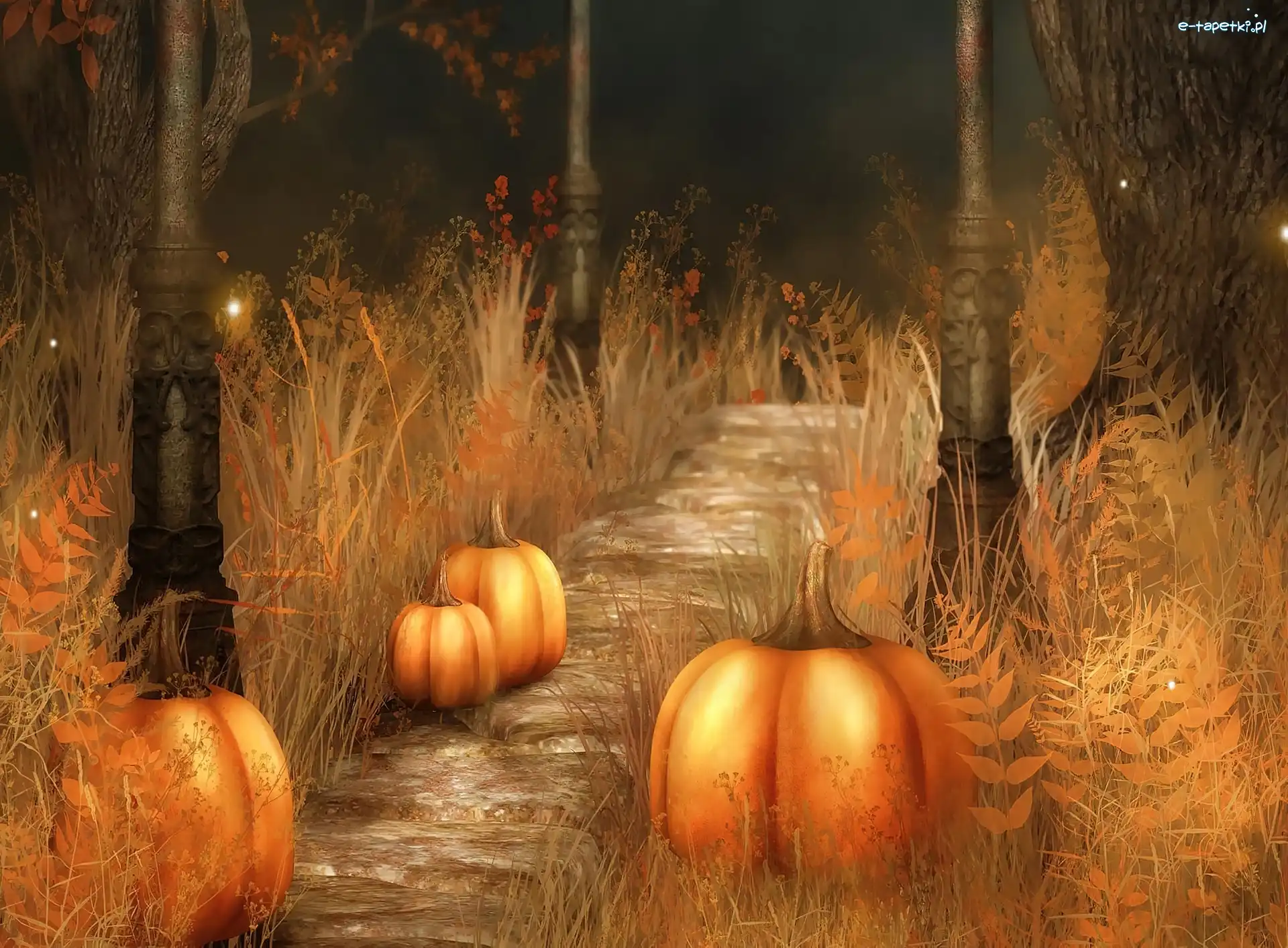 Dynie, Grafika, Droga, Halloween