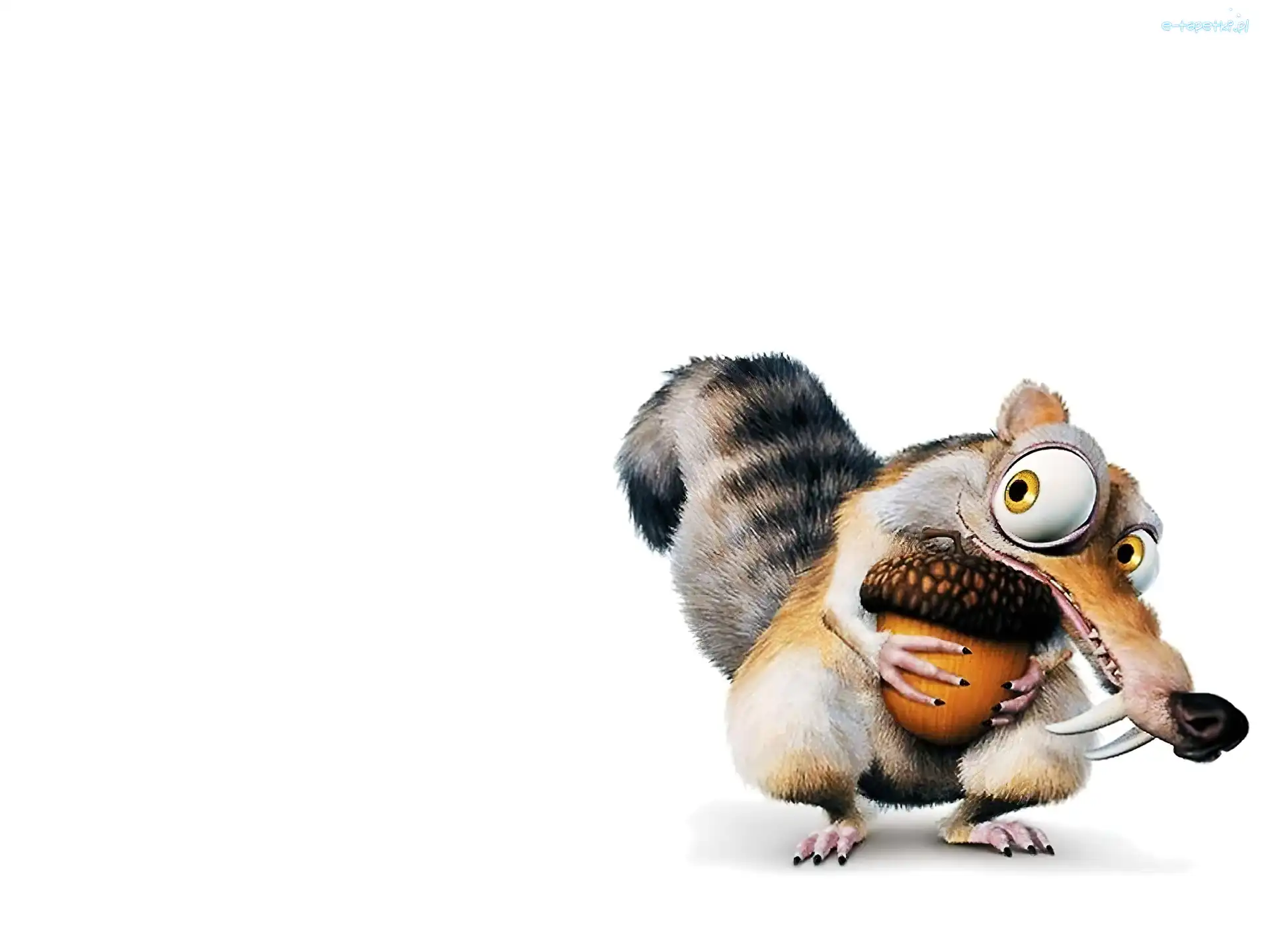 Ice Age, Epoka lodowcowa, Wiewiór