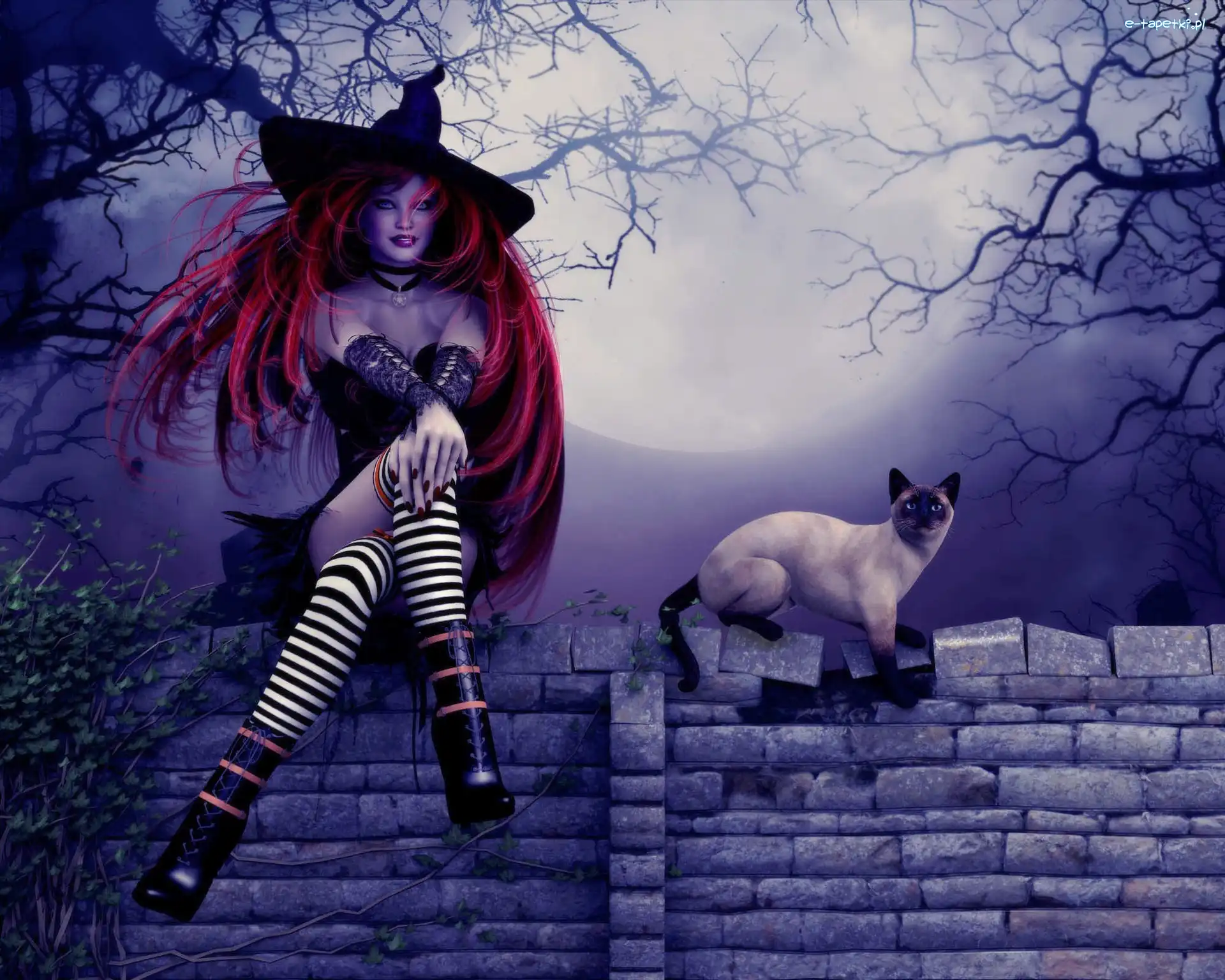 Kobieta, Kot, Czarownica, Halloween