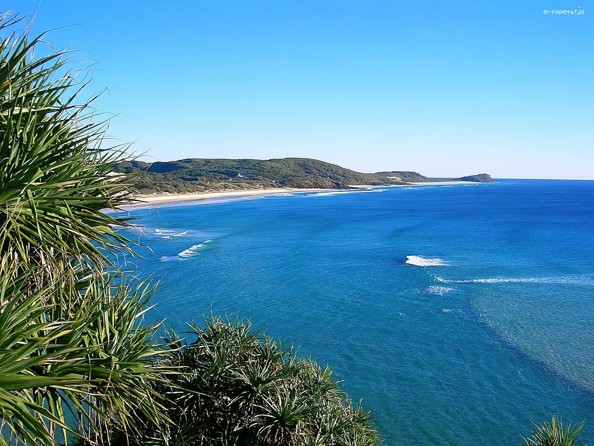 Australia, Frazer Island, Wyspa