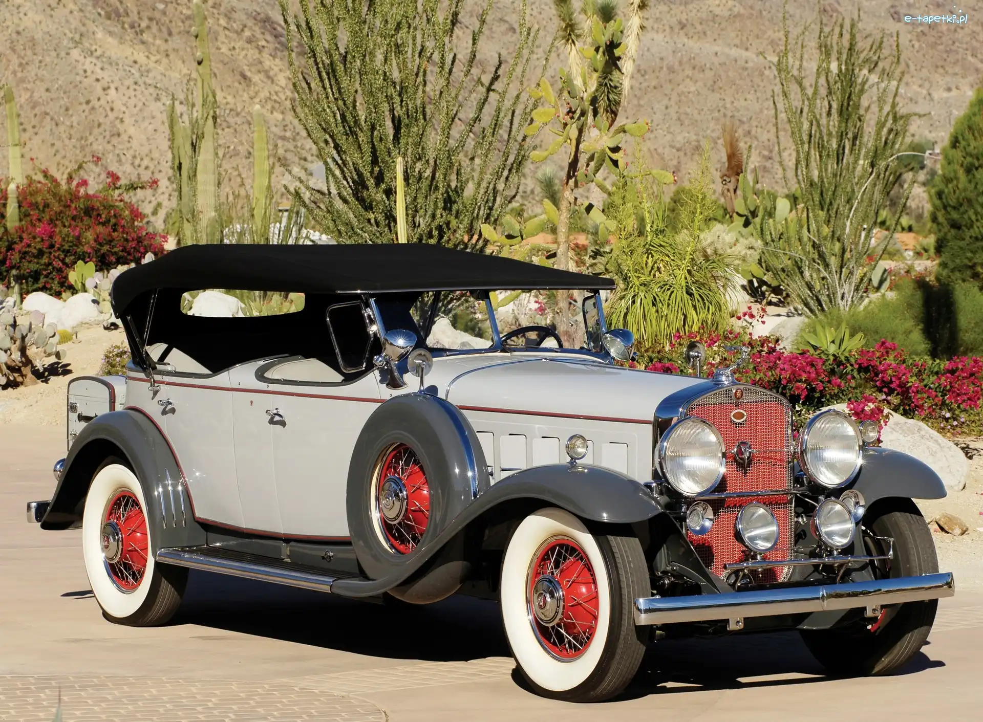 Sport Phaeton 1930, Cadillac V16