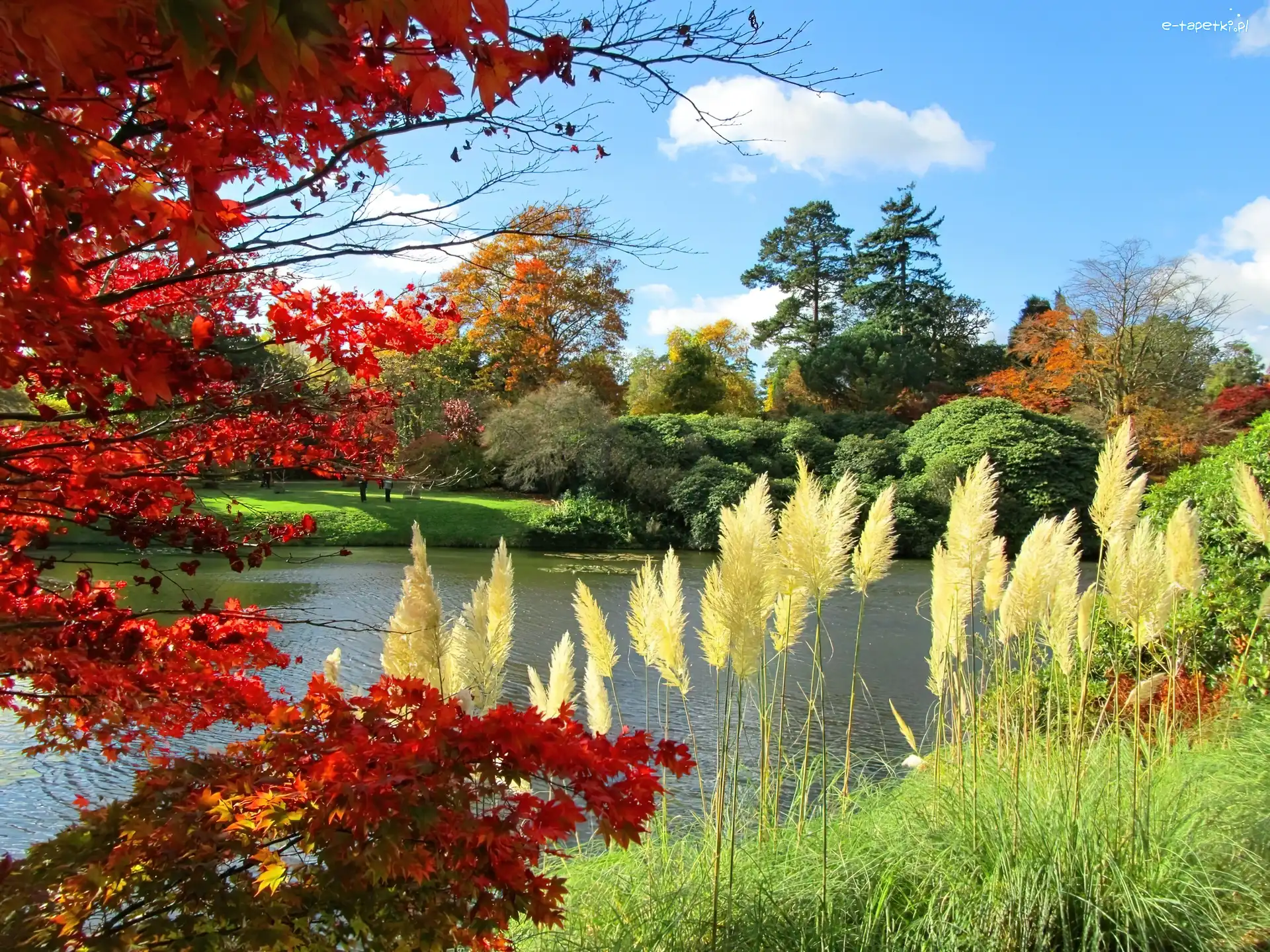 Jesień, Jeziorko, Park, Trawa, Drzewa