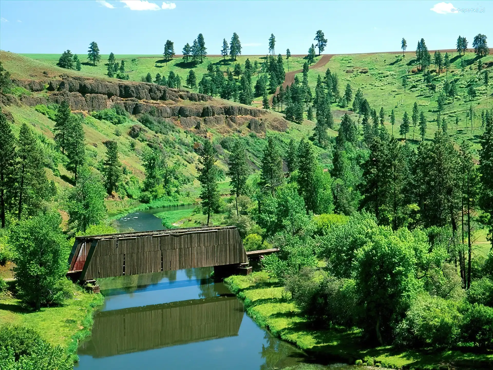 Covered Bridge, Drzewa, Washington, Most