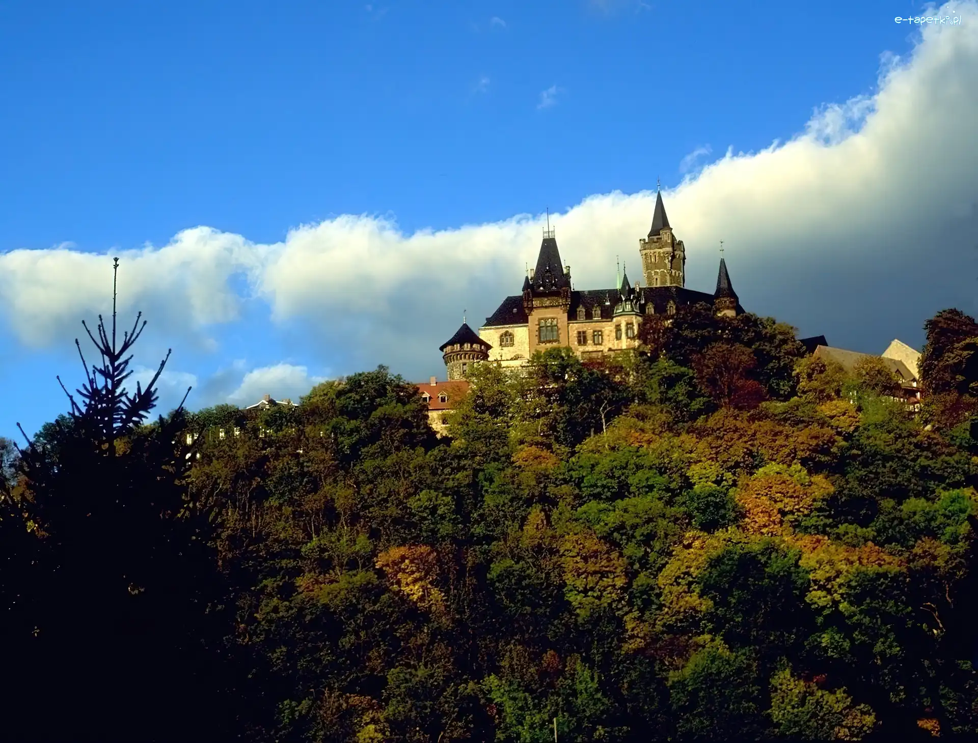 Zamek, Niemcy, Wernigerode, Jesień
