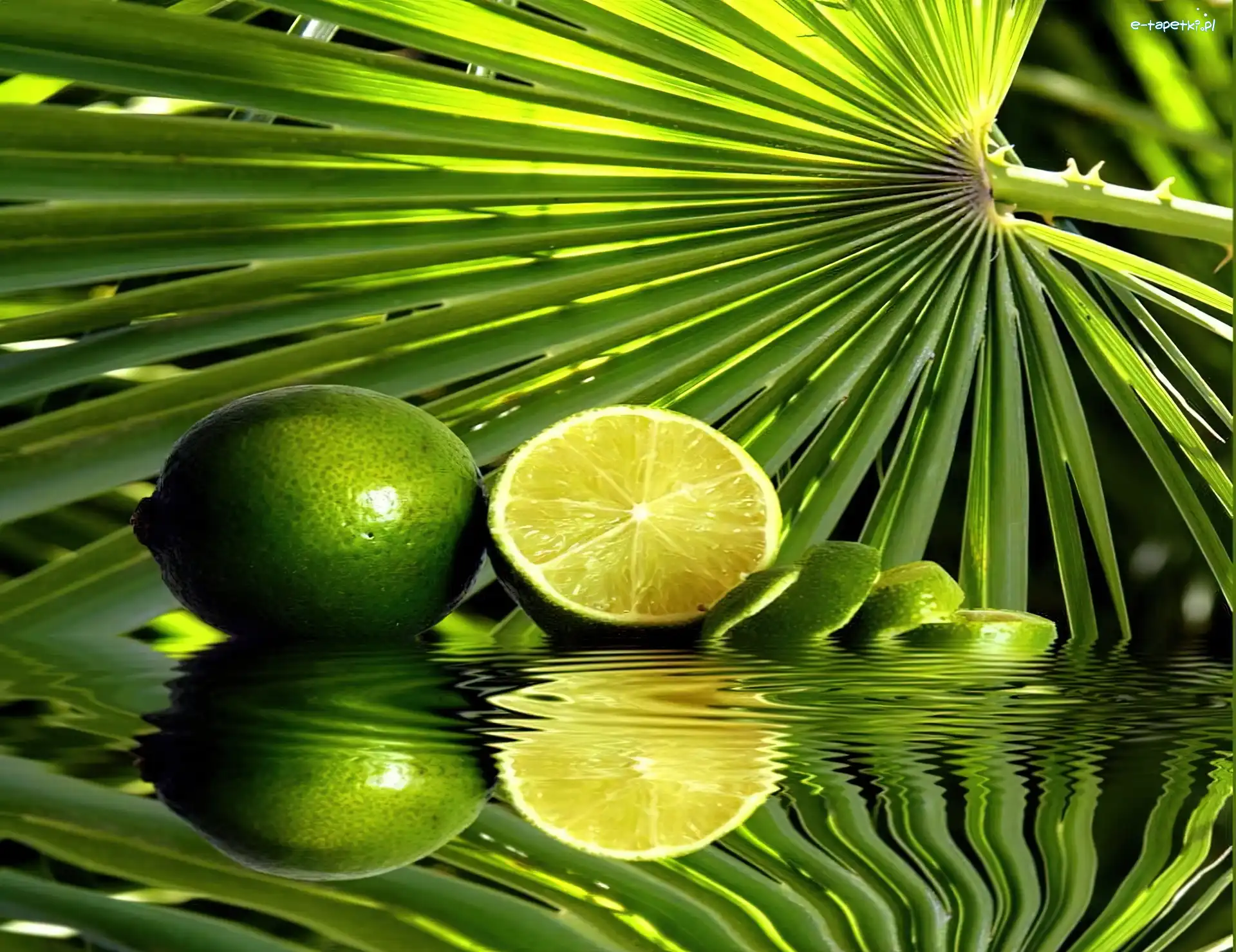 Palmy, Liść, Limonki