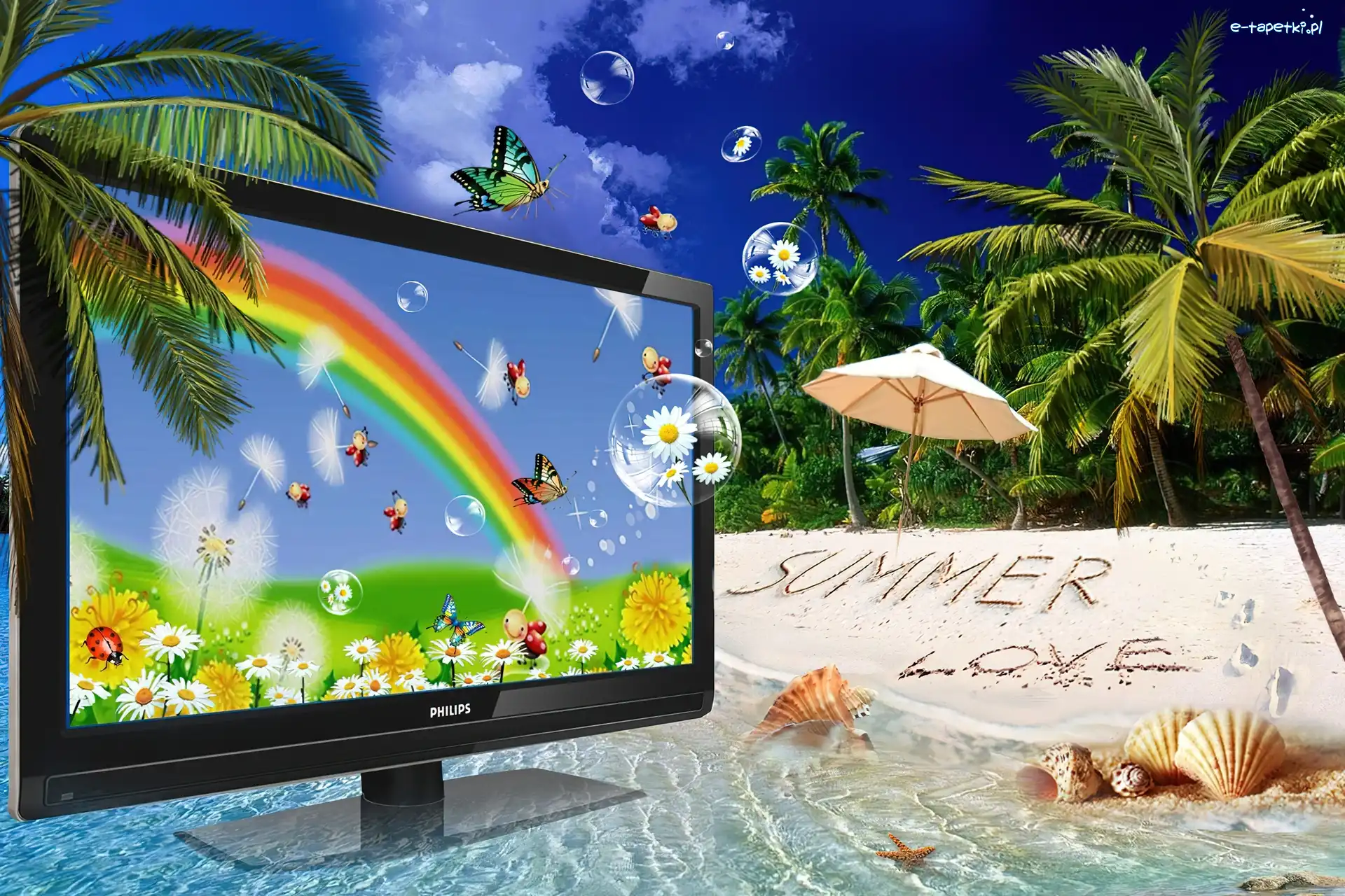 Palmy, Philips, Monitor, Plaża