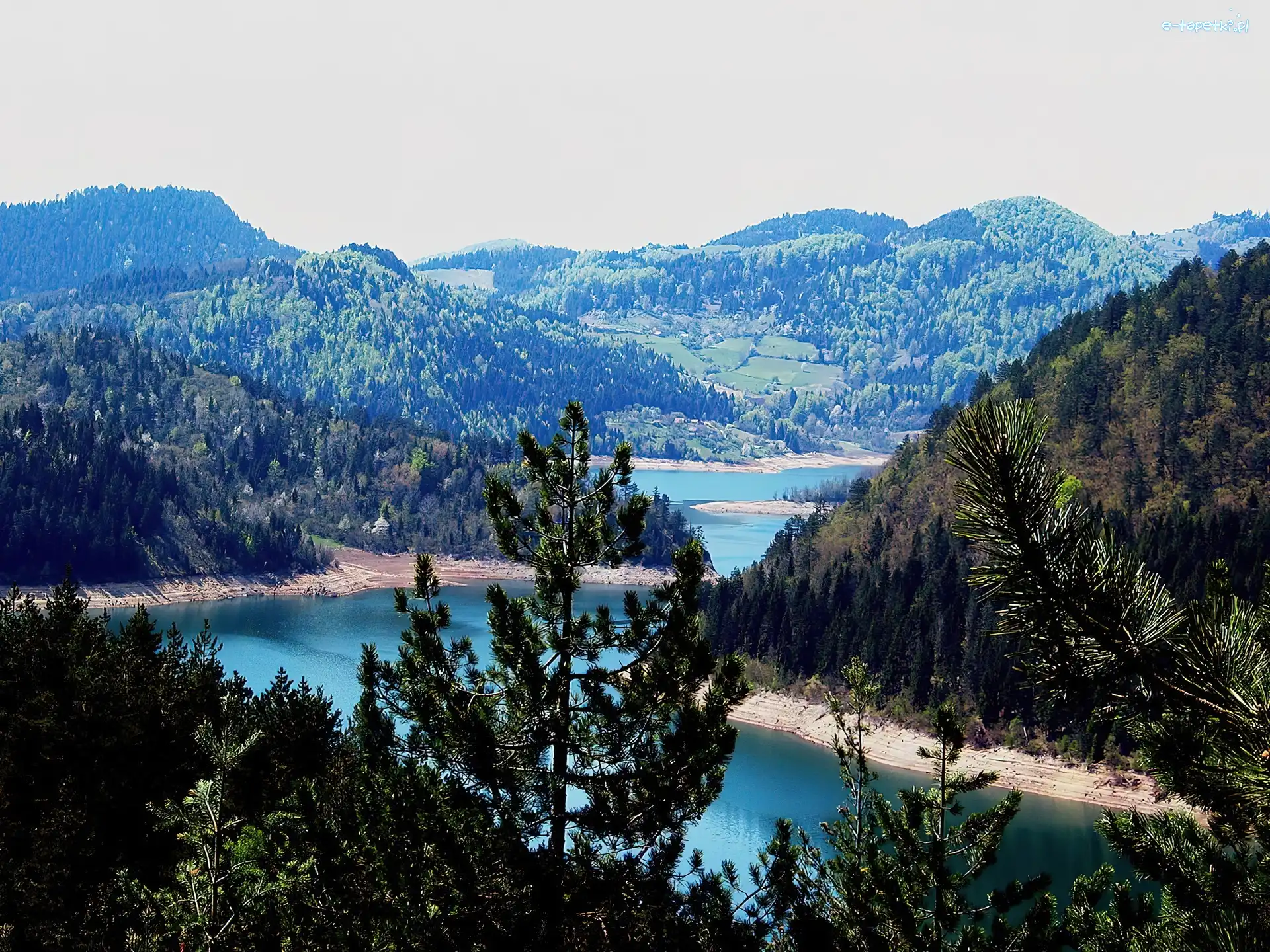 Jezioro, Góry, Zalesione, Serbia, Zaovine