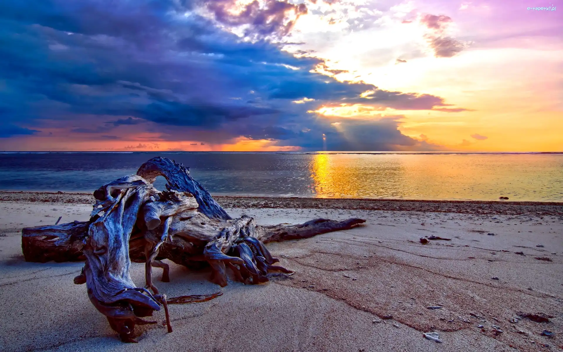 Zachód Słońca, Plaża, Morze, Drzewa, Konar