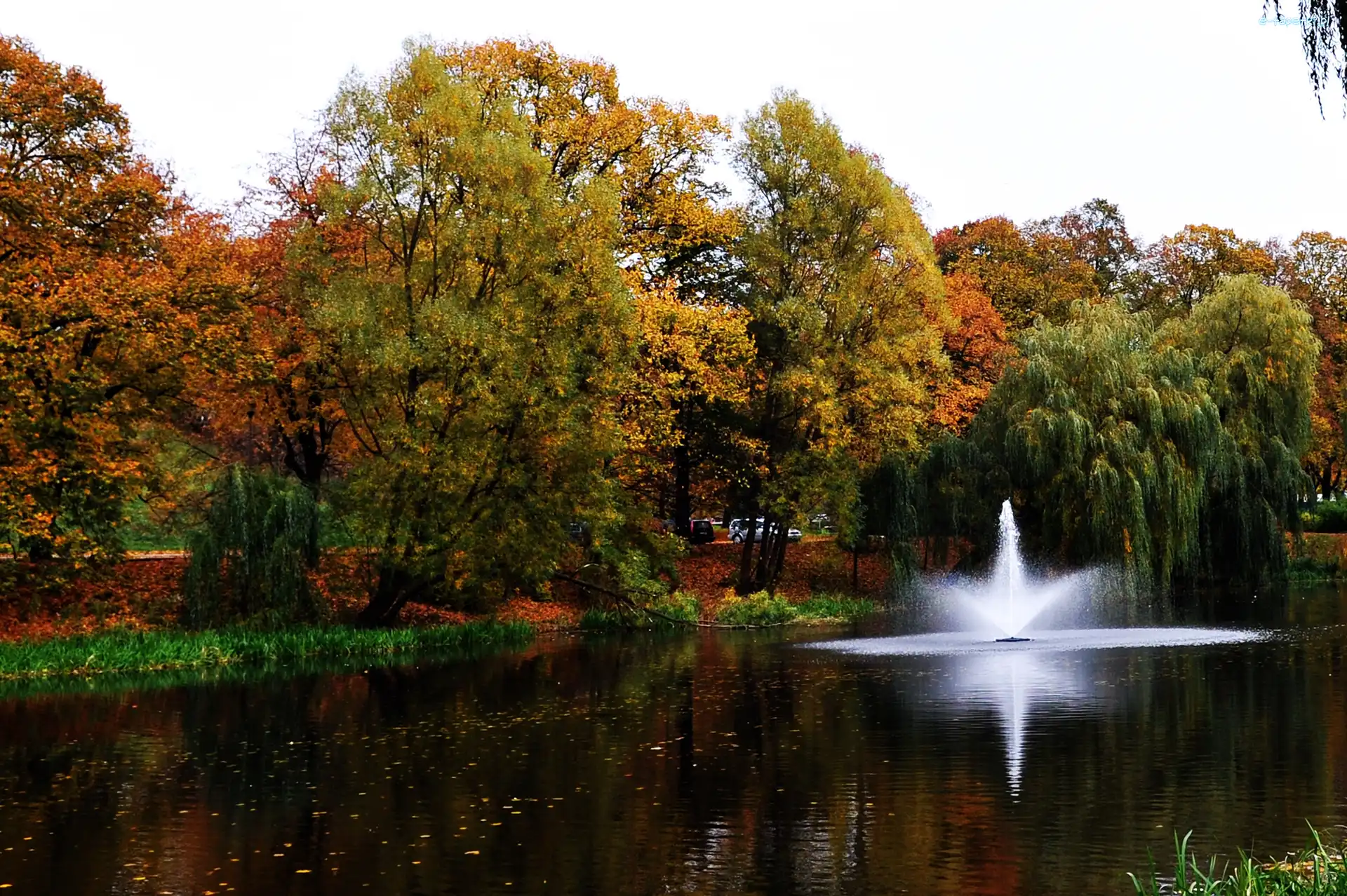 Park, Kolorowe, Jesienią, Fontanna, Drzewa