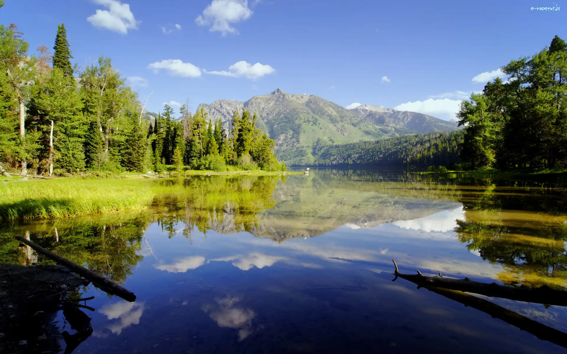 Drzewa, Jezioro, Górskie
