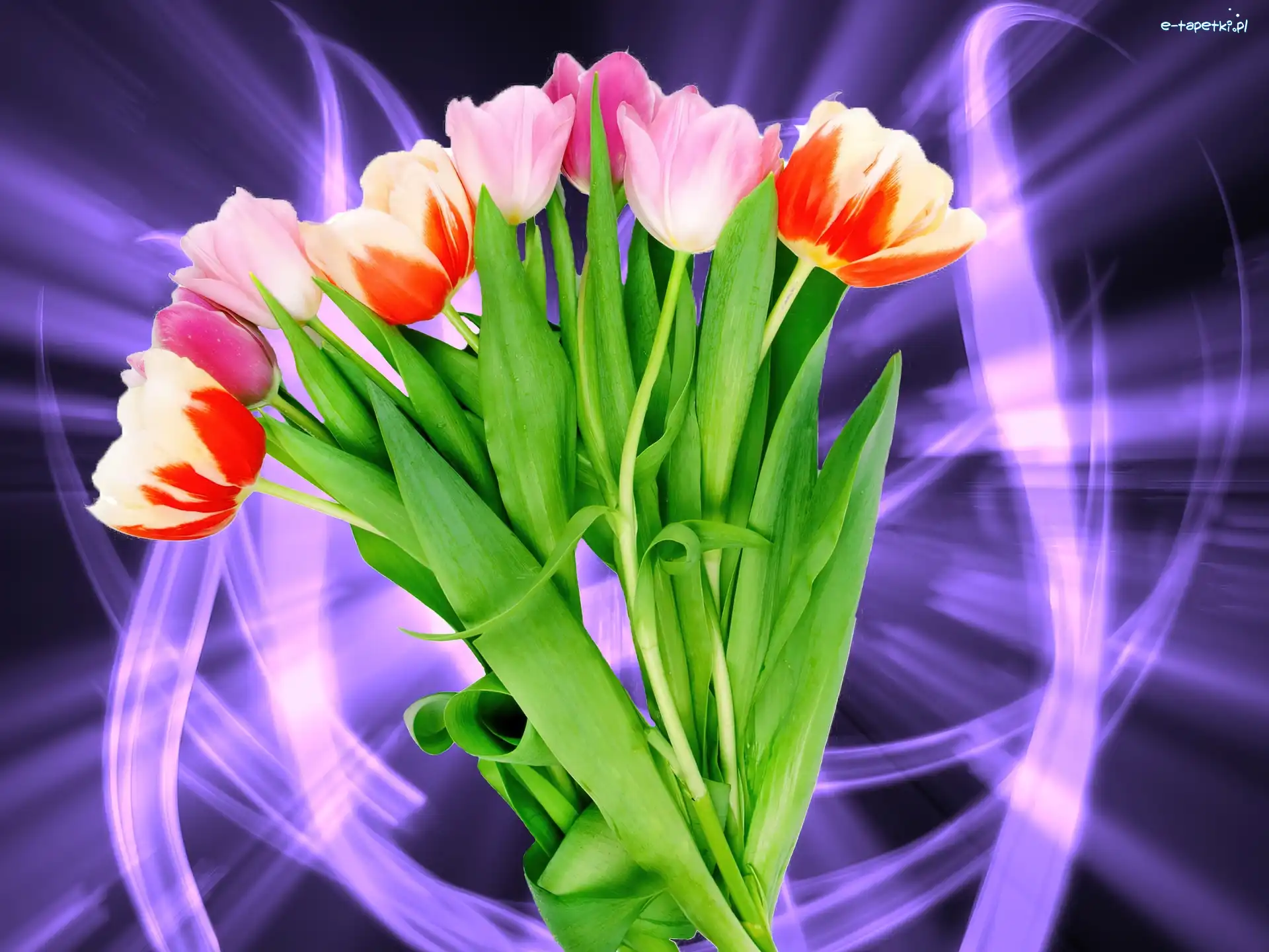 Bukiet, Tulipany