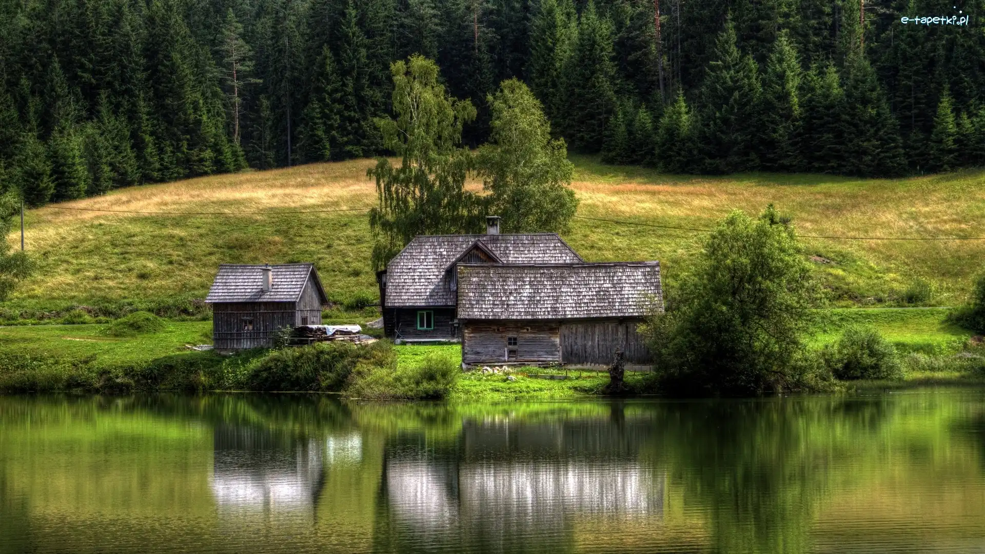 Domki, Jeziorem, Nad, Las