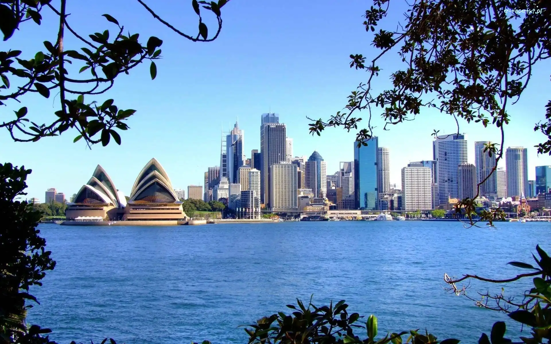 Sydney, Wieżowce, Opera Sydney Opera House, Australia