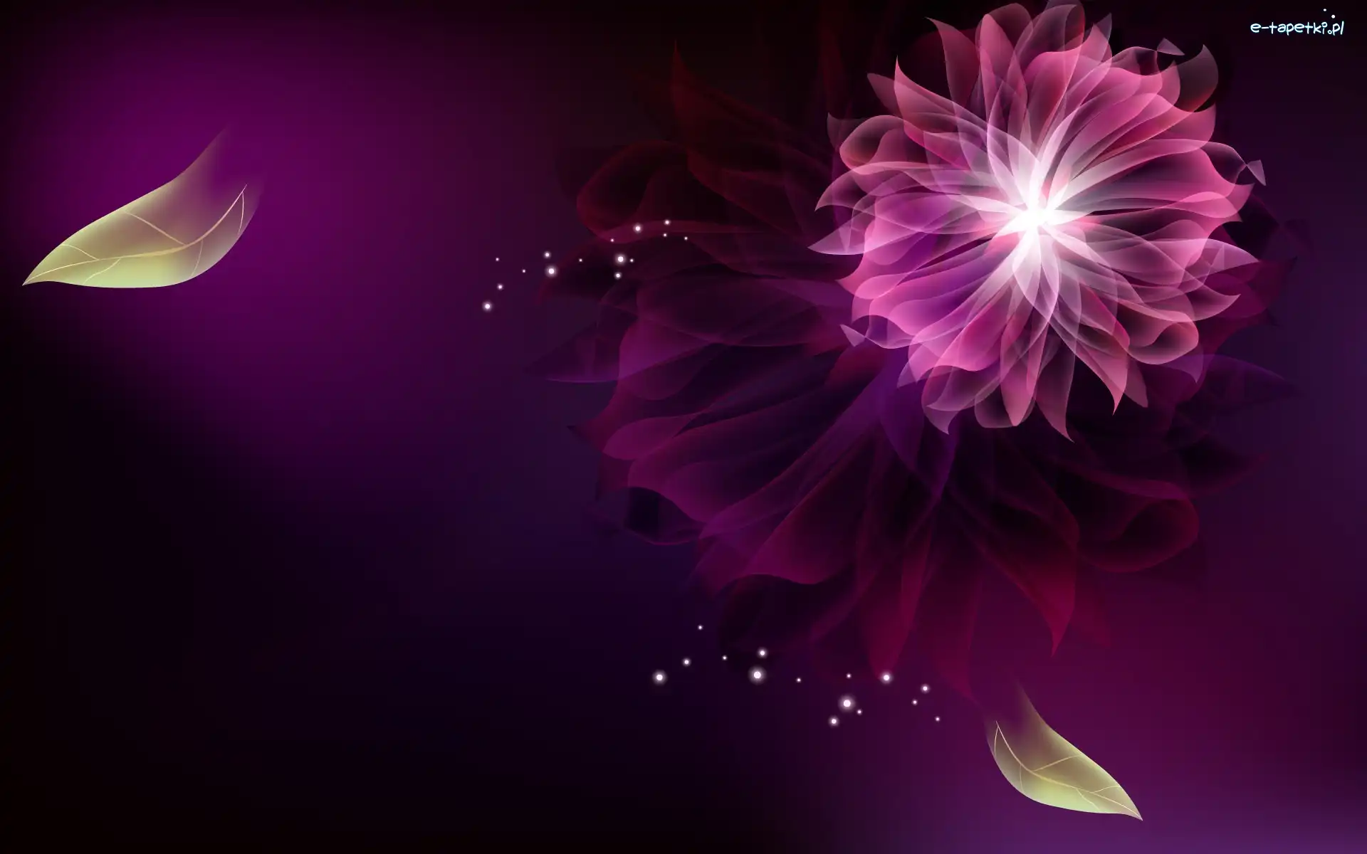 Fractalius, Kwiat