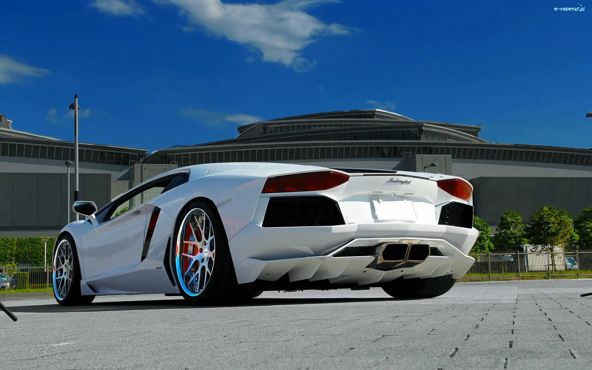 Lamborghini Aventador, Białe