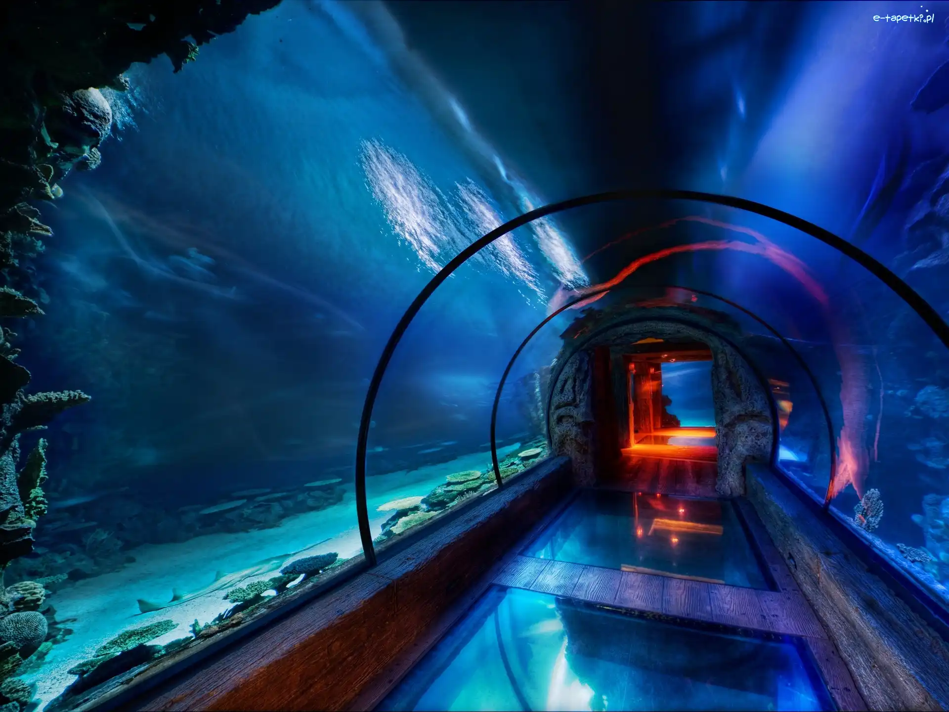 Oceanarium, Tunel, Podwodny