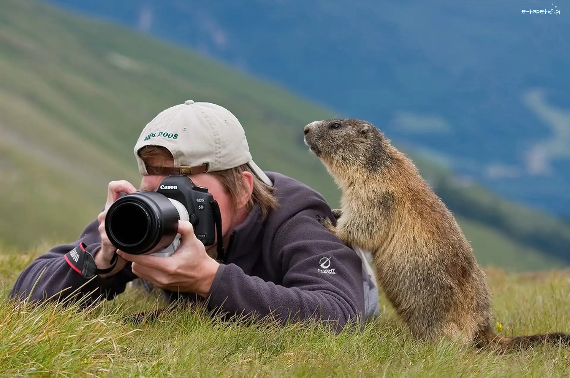 Świstak, Fotograf