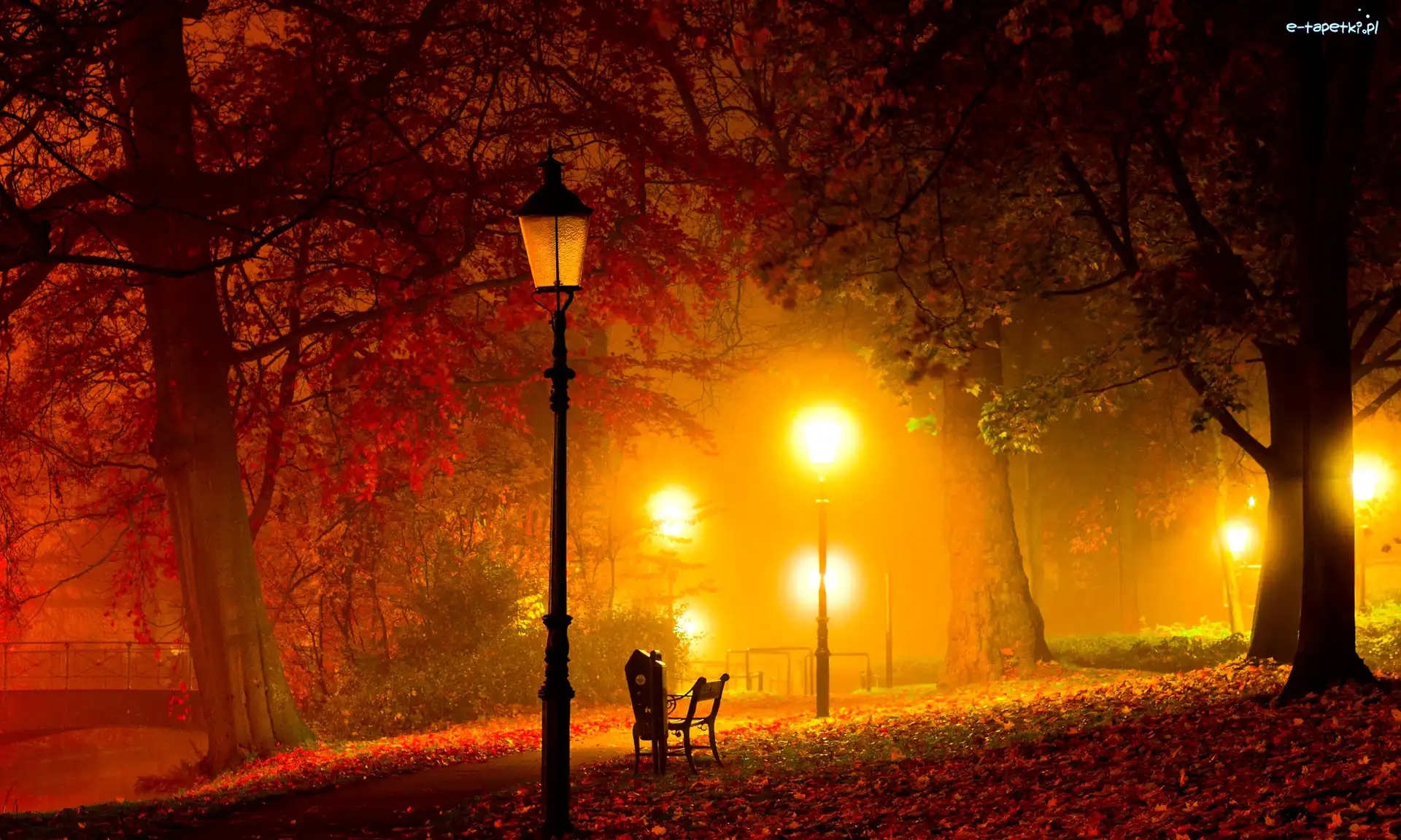 Drzewa, Park, Liście, Latarnie, Nocą