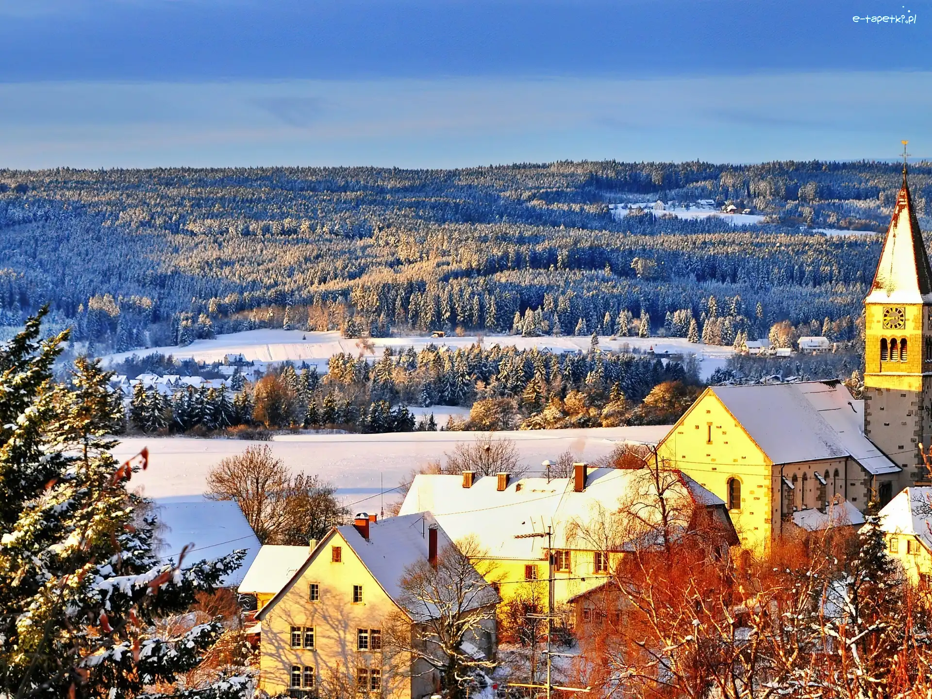 Miasteczko, Niemcy, Szwarcwald, Las