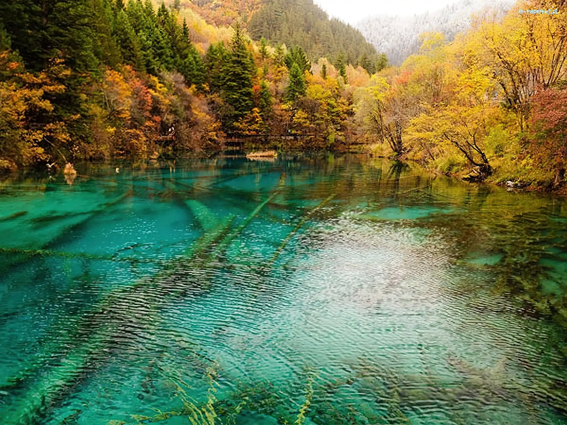 Las, Jesieni, Barwy, Jezioro