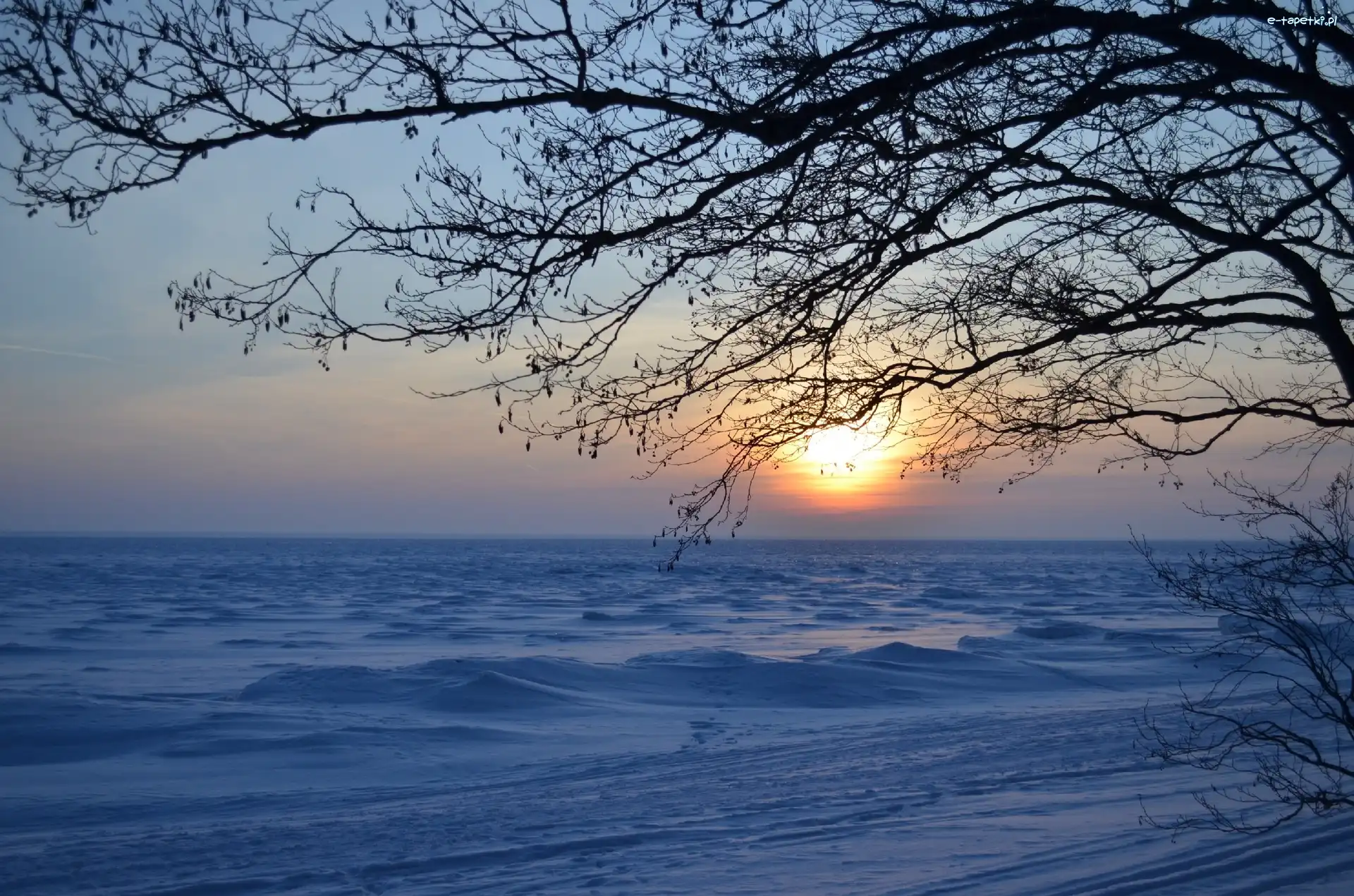 Zachód, Drzewo, Słońca, Zima, Śnieg