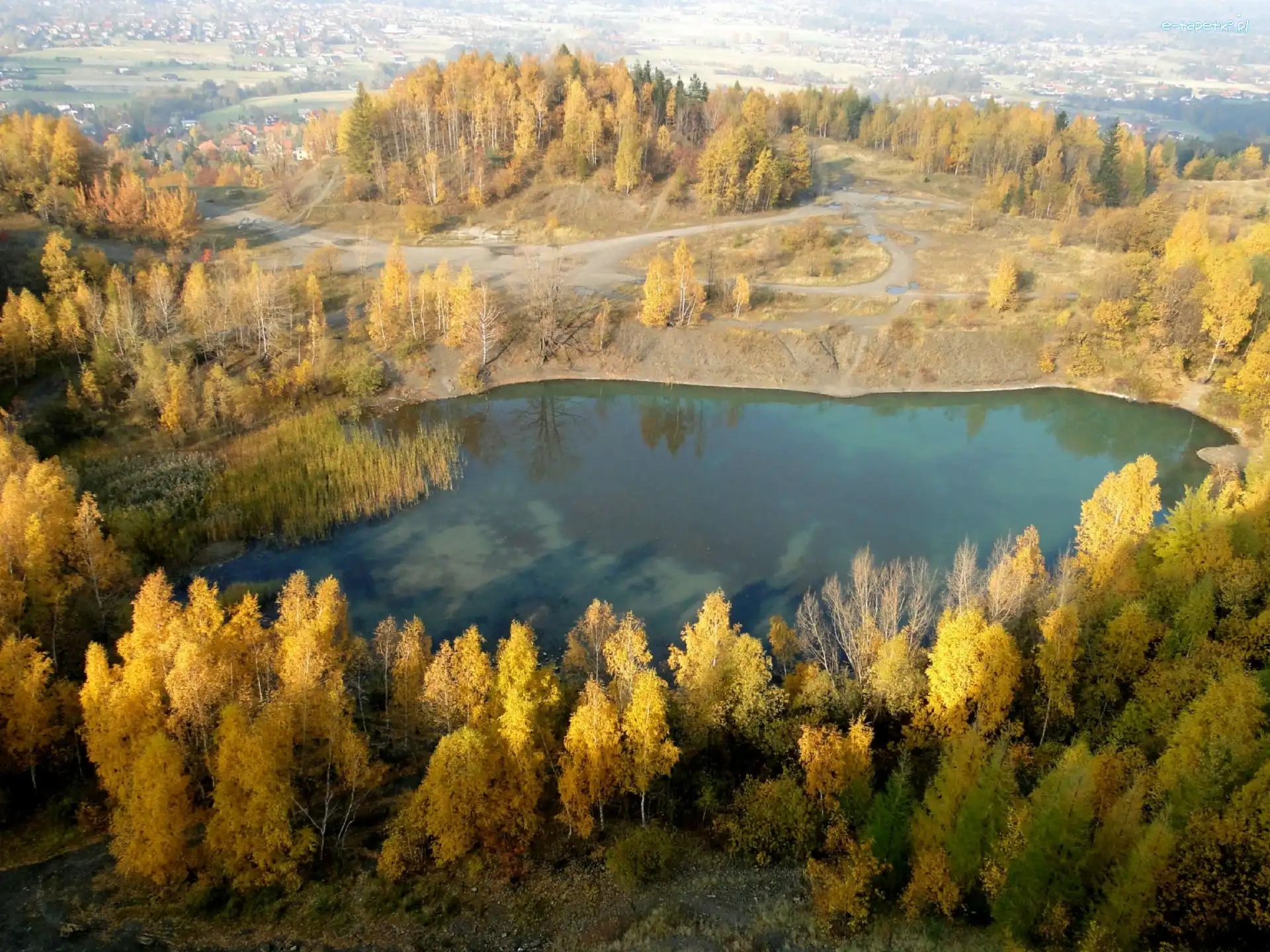 Żółte, Brzozy, Liście, Domy, Jezioro, Jesień