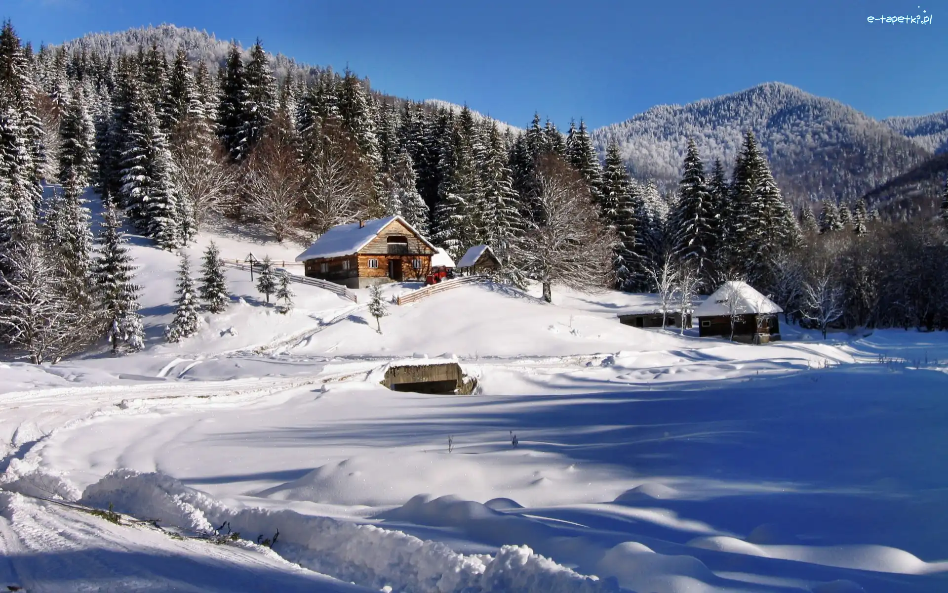 Domek, Las, Góry
