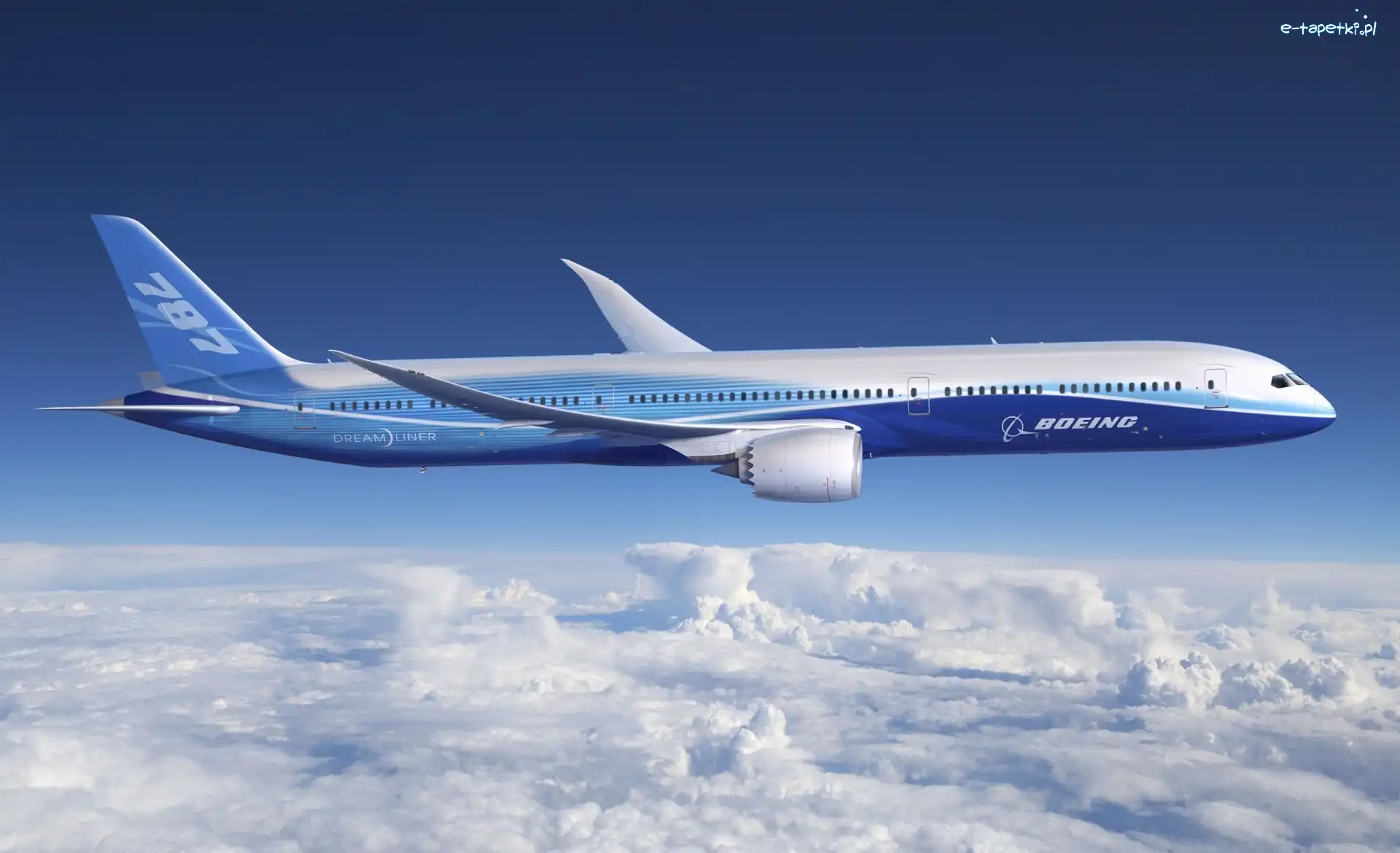 Boeing 787, Pasażerski, Samolot