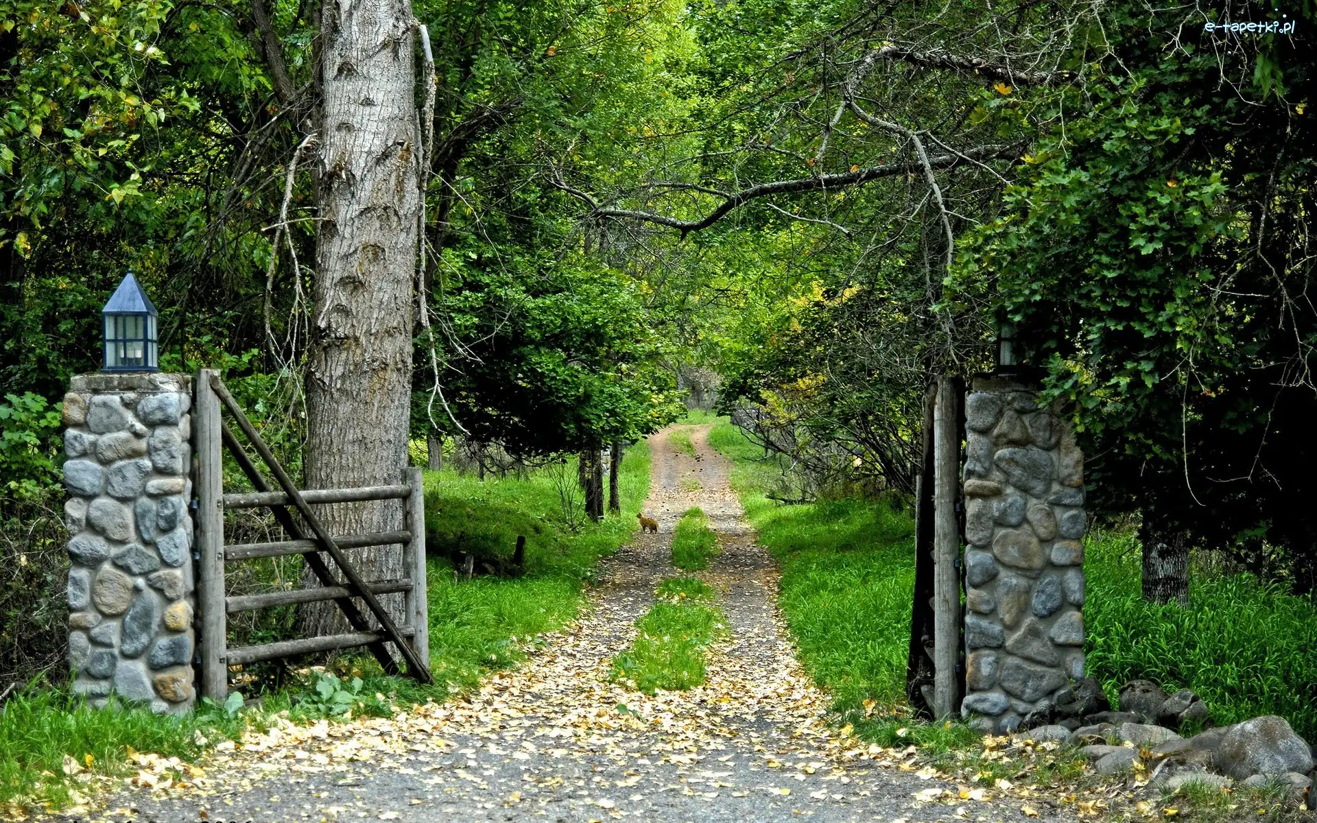 Ścieżka, Brama, Ogród, Drzewa