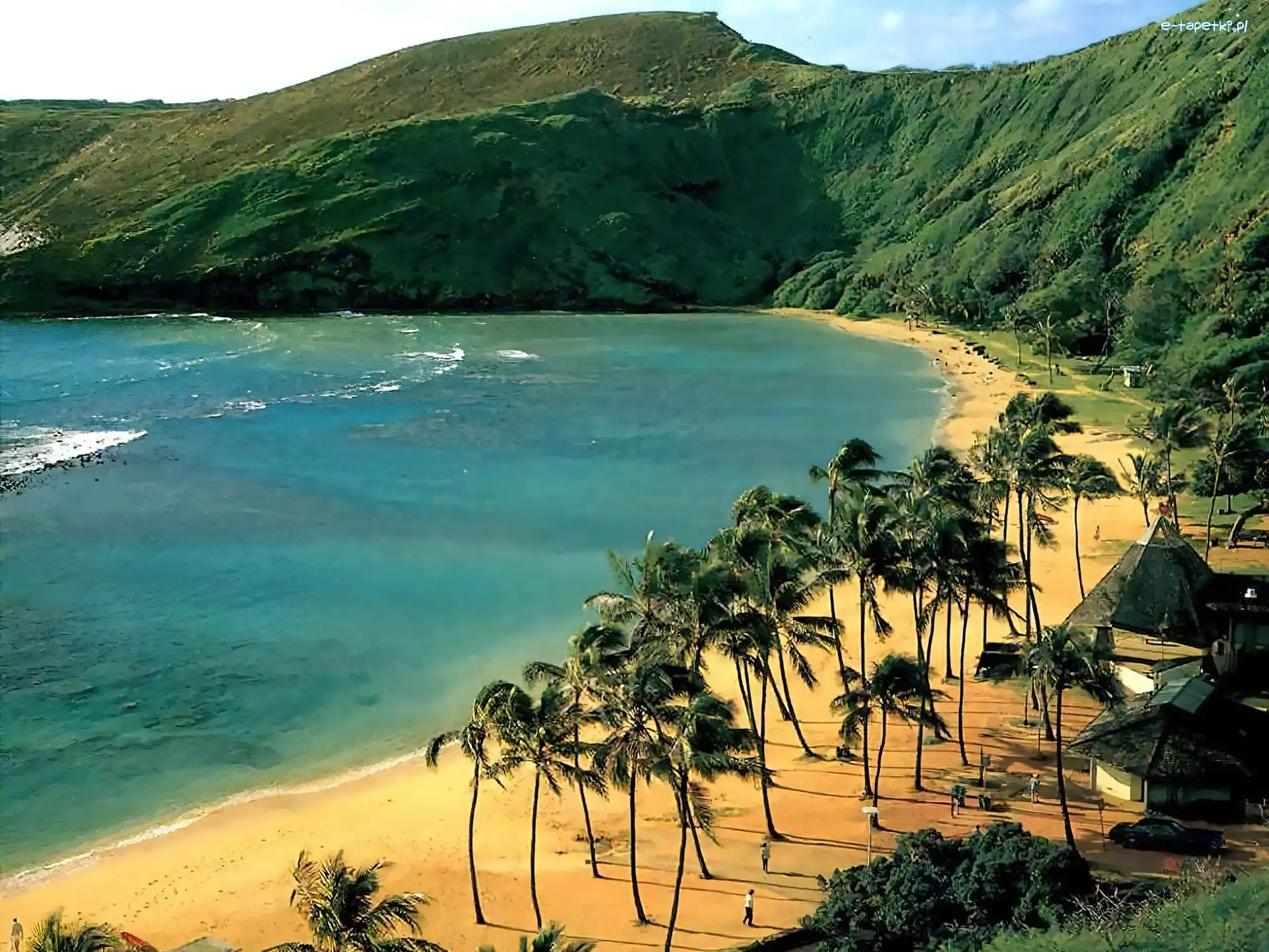 Oahu, Palmy, Góry, Hawaje, Plaża, Morze