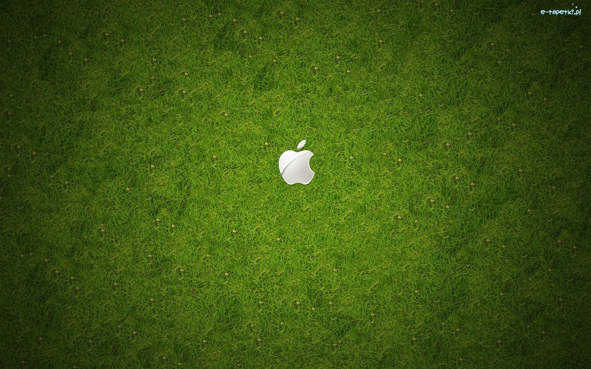 Łąka, Logo, Apple