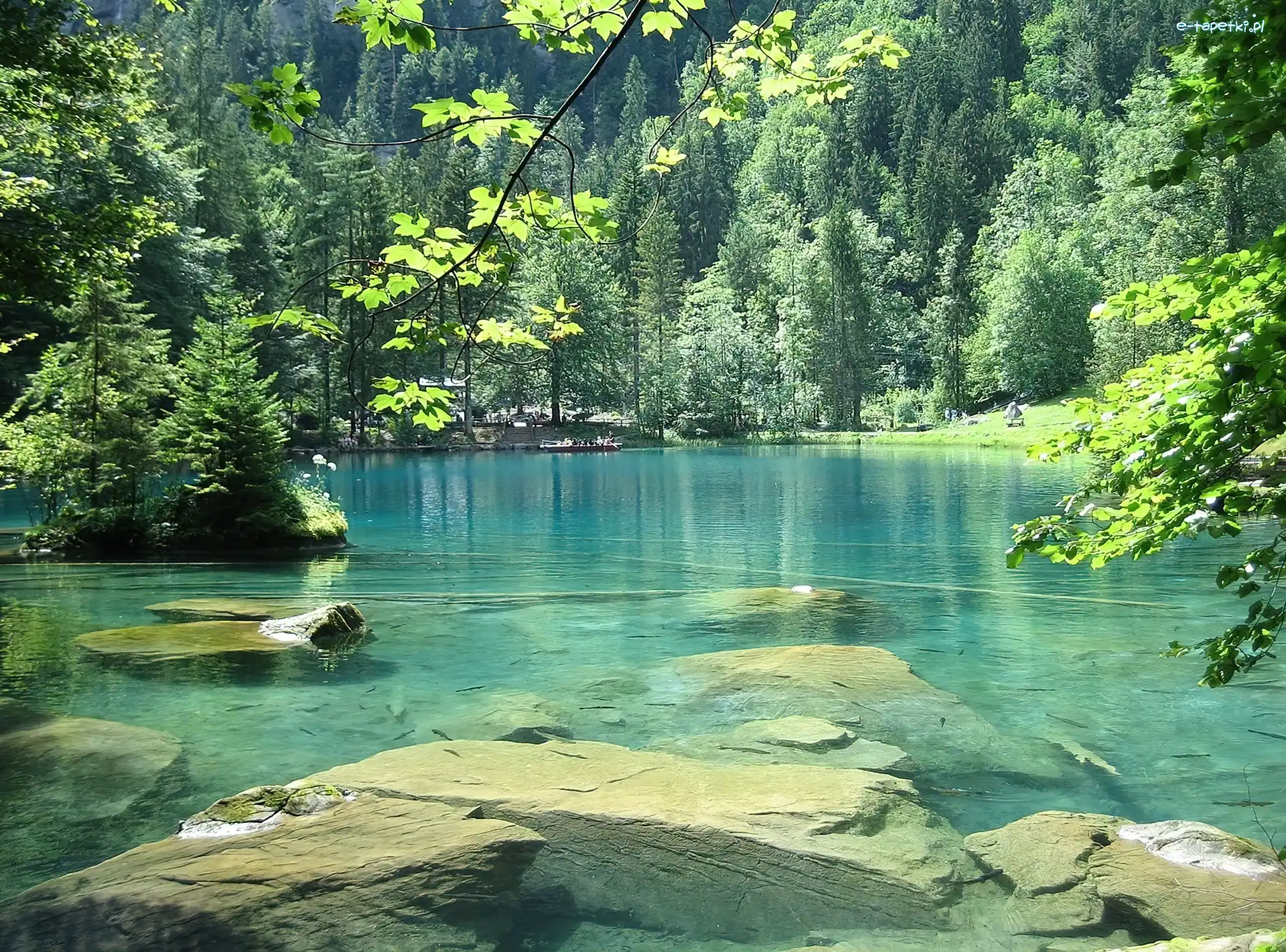 Niebieskie, Kamienie, Jezioro, Szwajcaria, Las