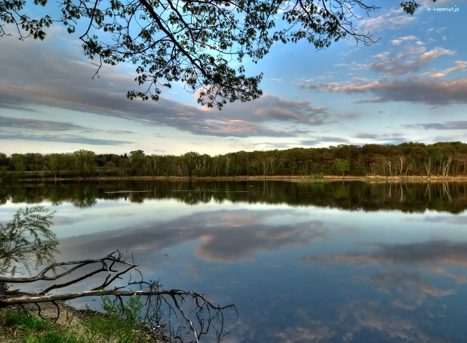 Chmury, Las, Jezioro