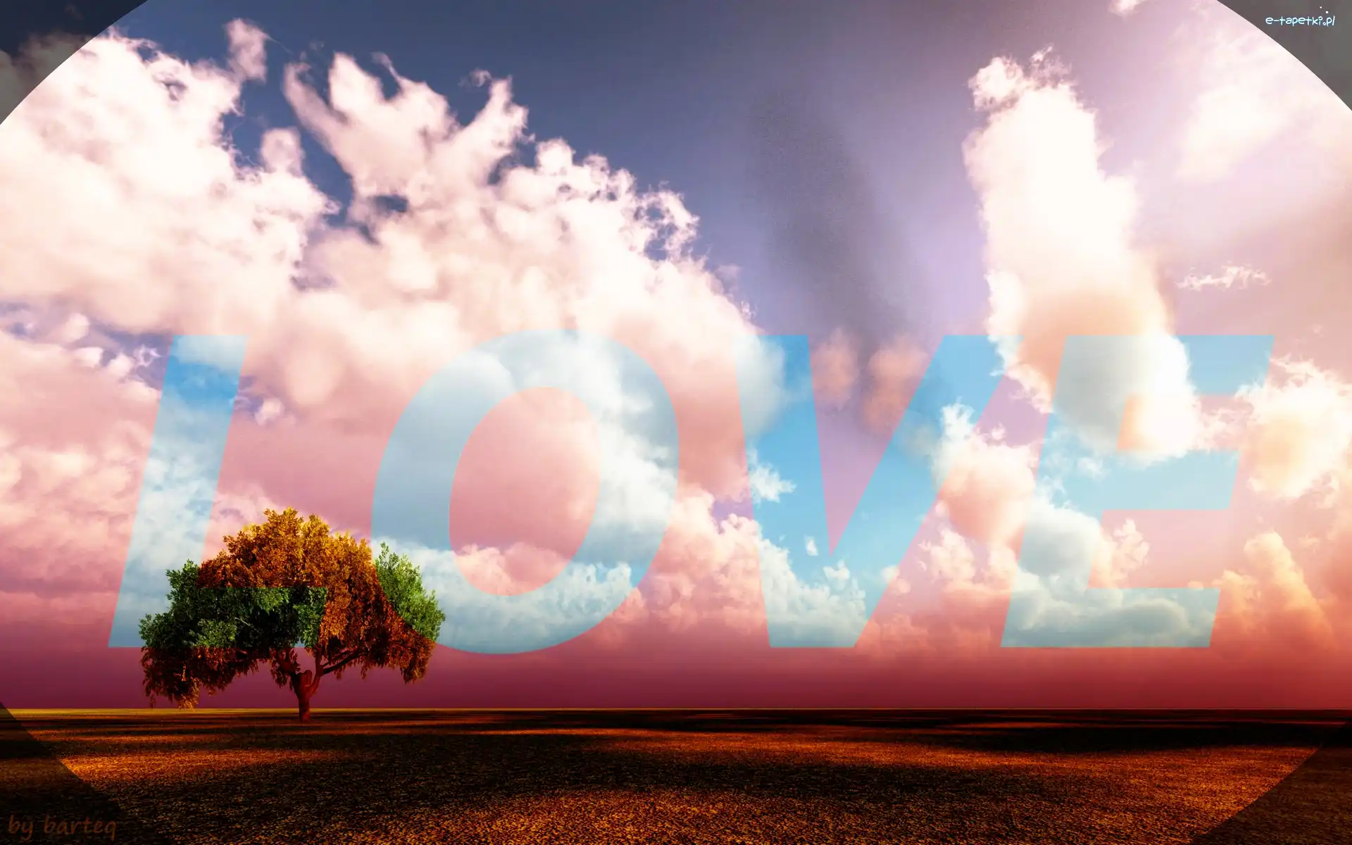 Drzewo, Love, Napis, Samotne