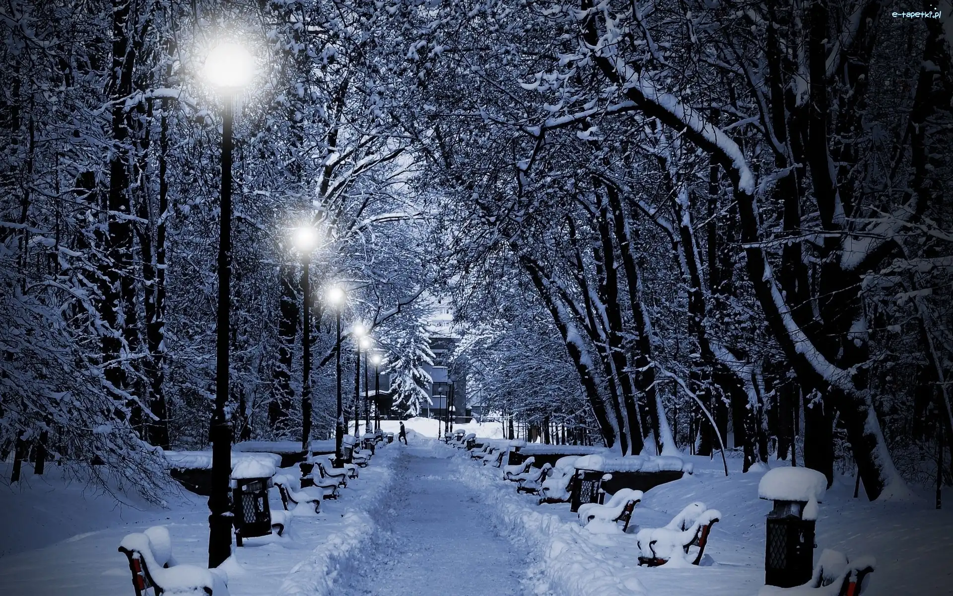 Park, Ławki, Drzewa, Zima, Latarnie