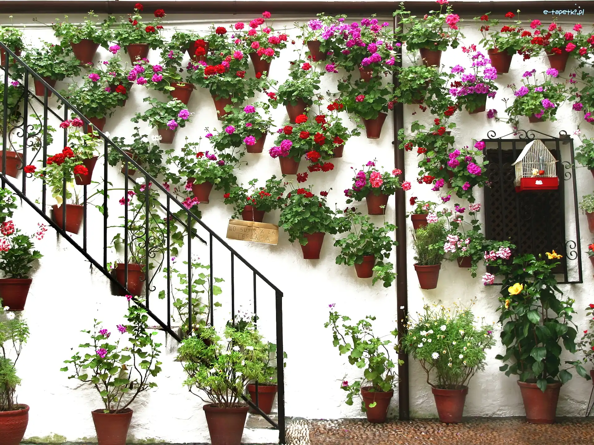 Hiszpania, Cordoba, Festiwal Ogrodów