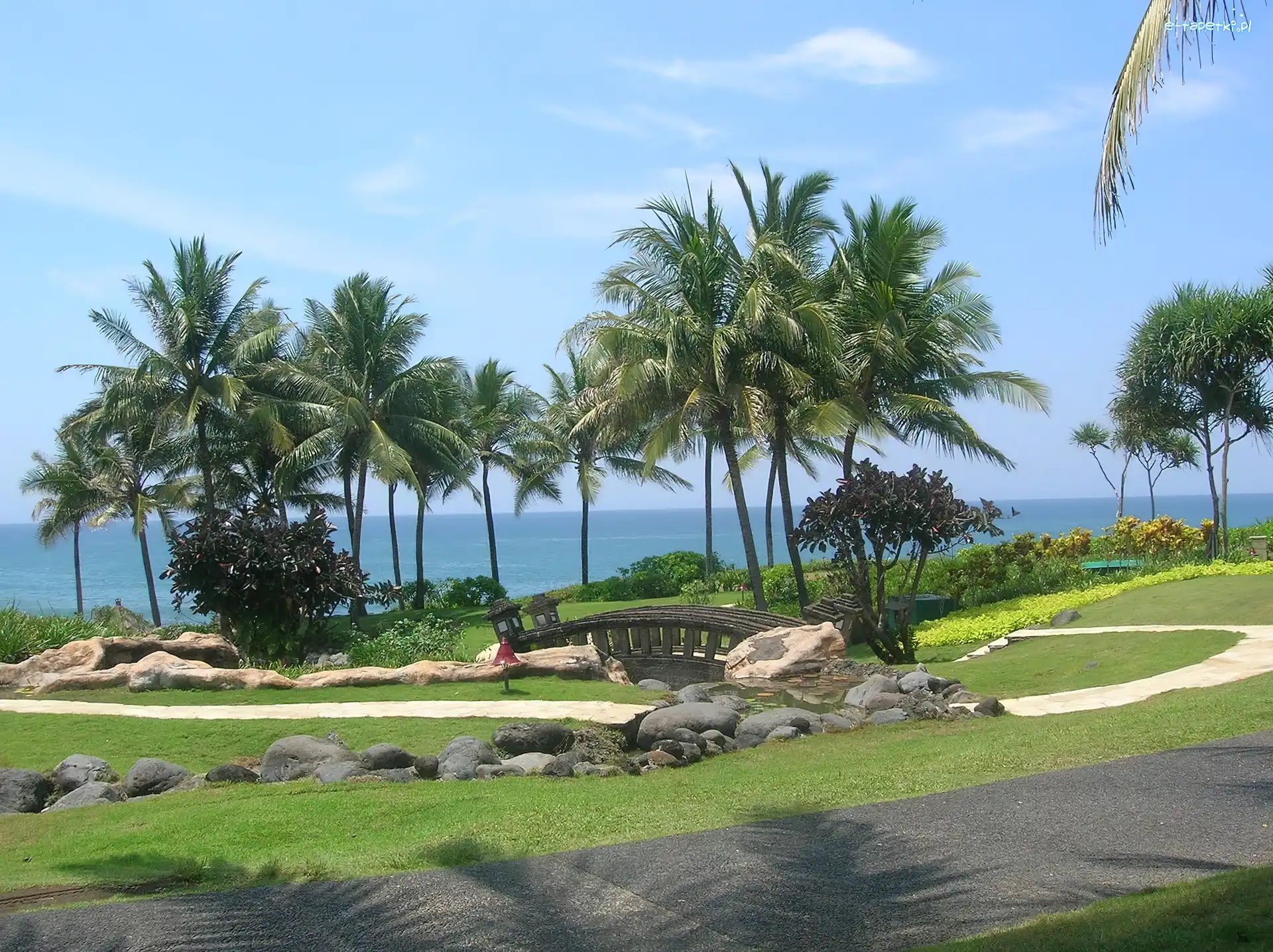 Mostek, Bali, Palmy, Park