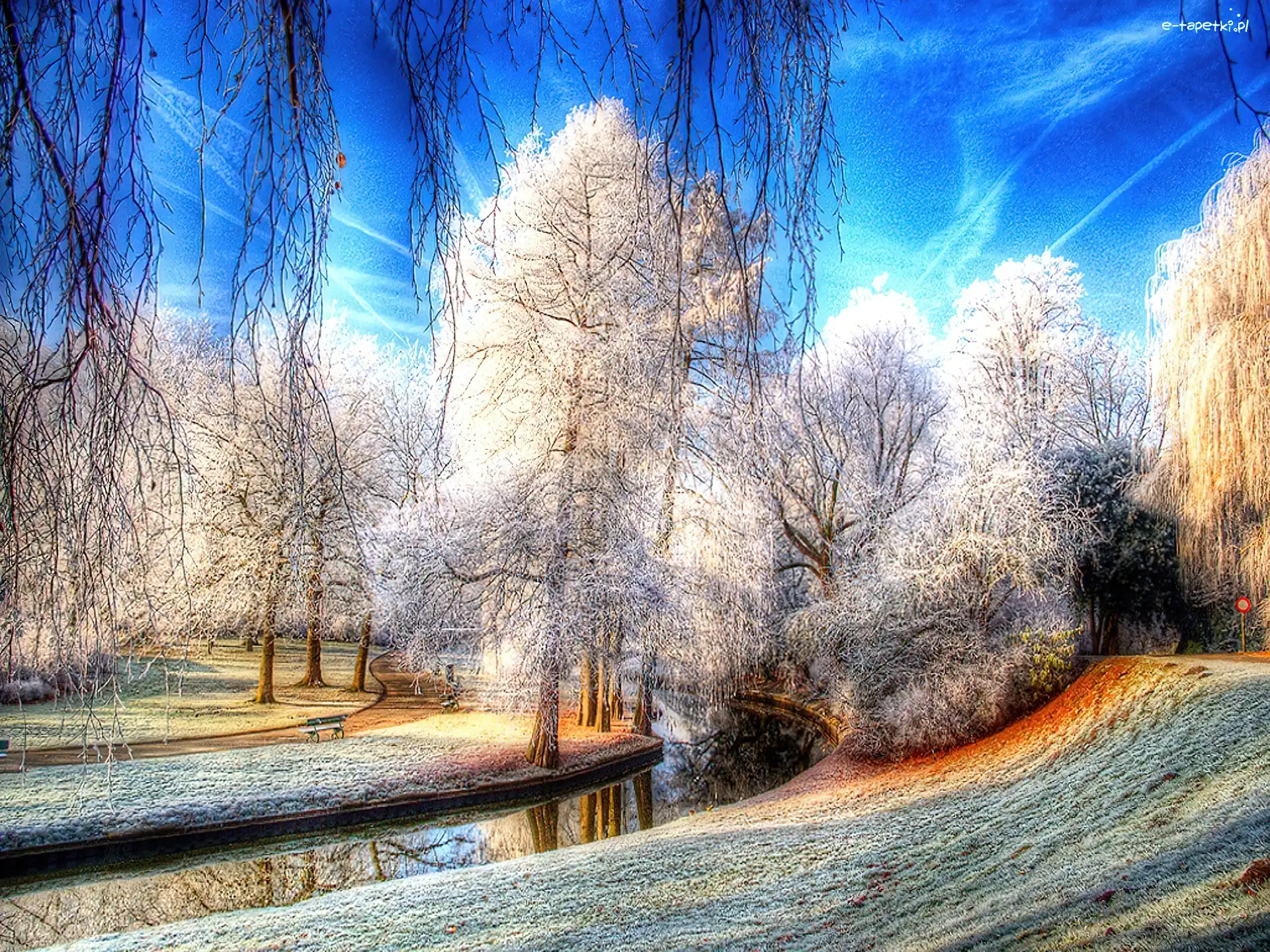Drzewa, Szron, Rzeczka, Park