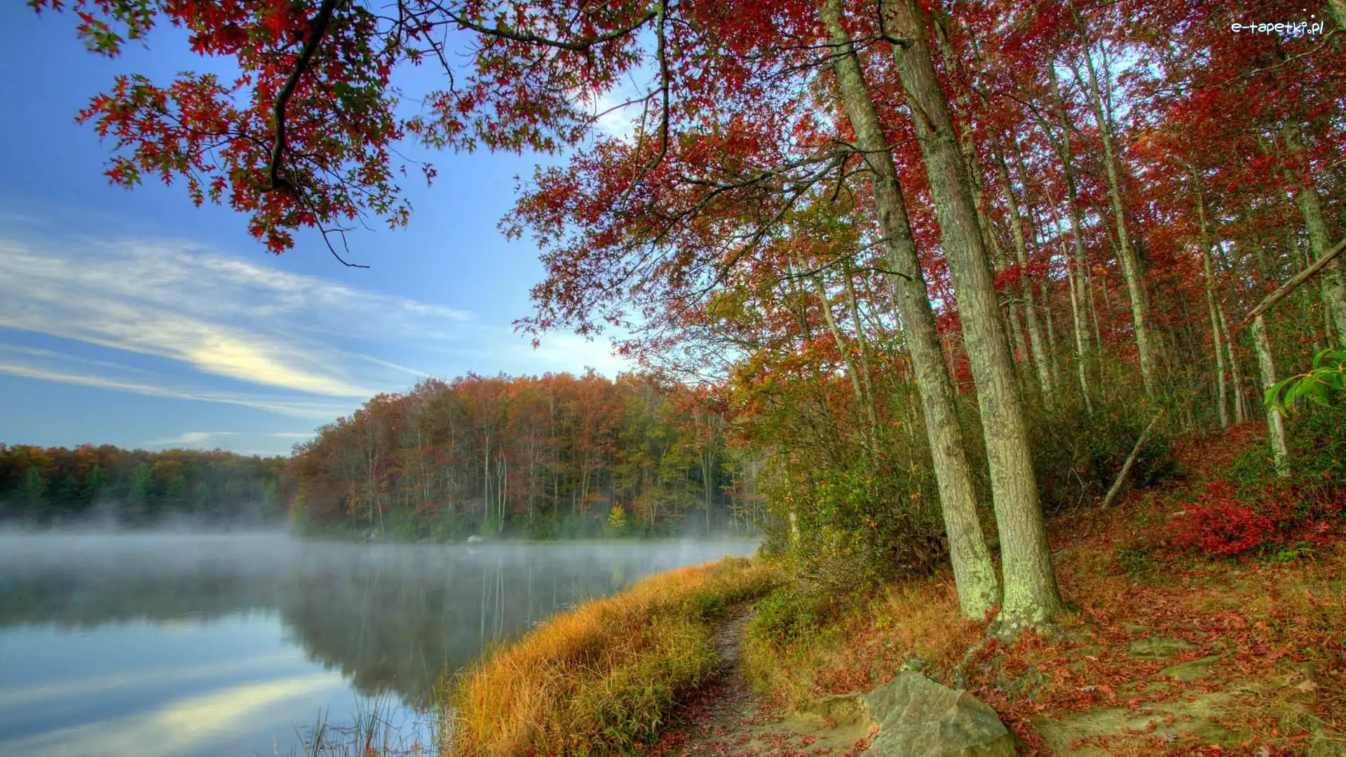 Mgła, Jezioro, Las