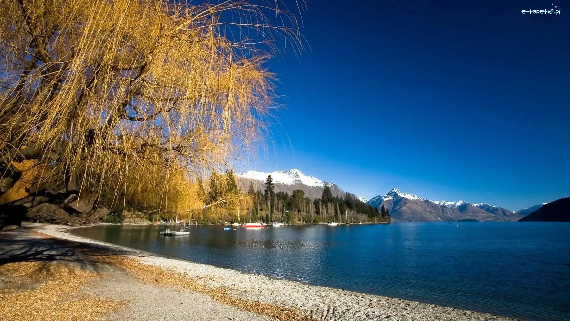 Wakatipu, Góry, Drzewa, Nowa Zelandia, Plaża, Jezioro